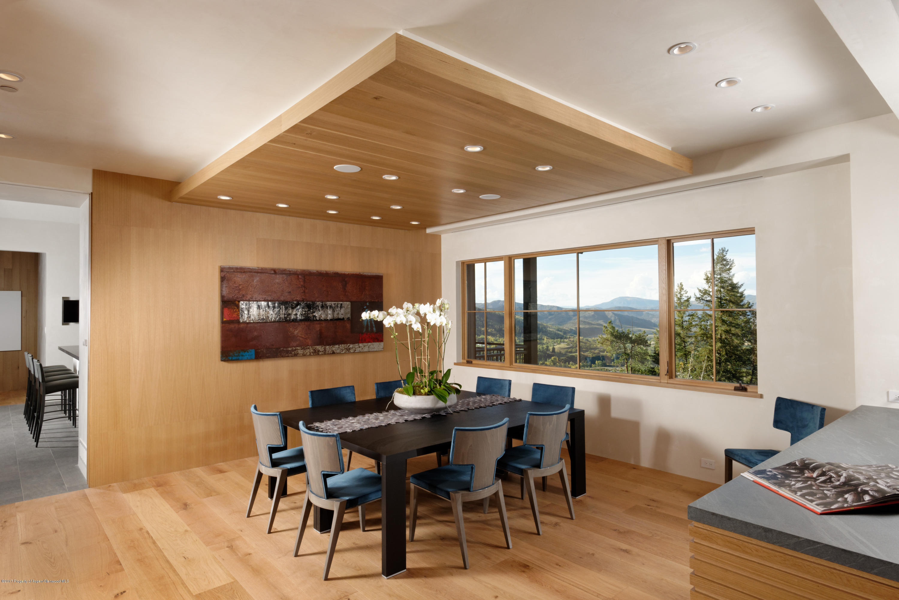 991 Moore Drive Aspen CO 81611