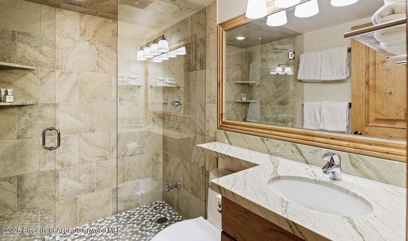 901 E Hyman Avenue Aspen CO 81611