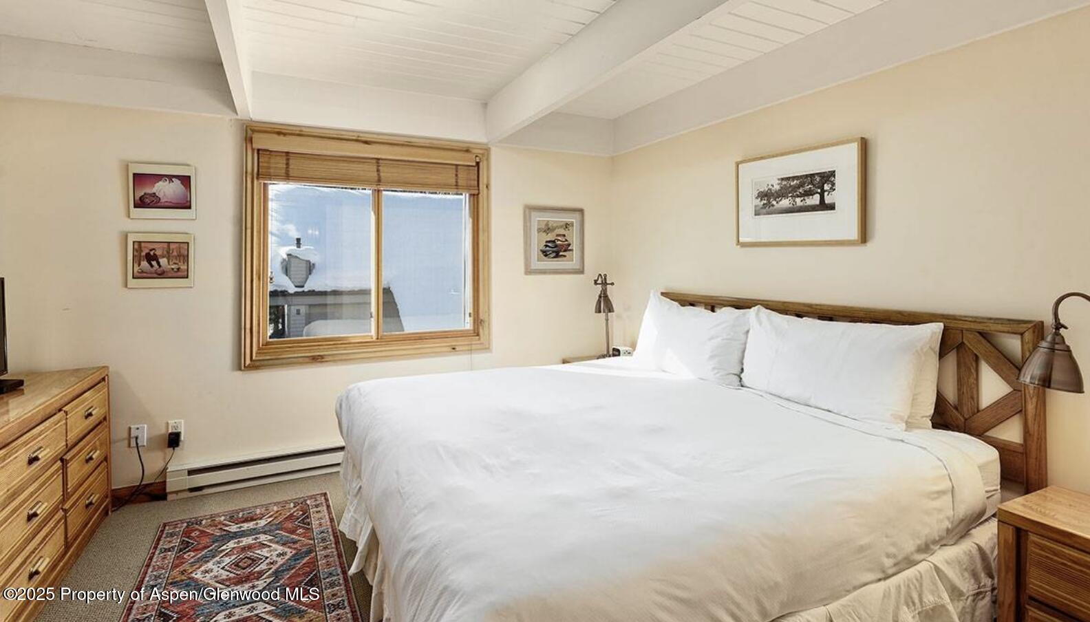 901 E Hyman Avenue Aspen CO 81611