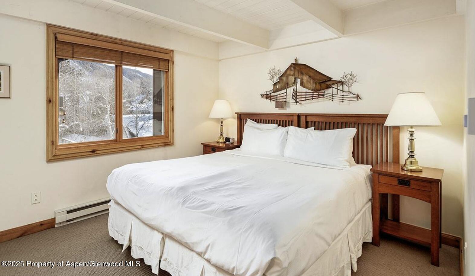 901 E Hyman Avenue Aspen CO 81611