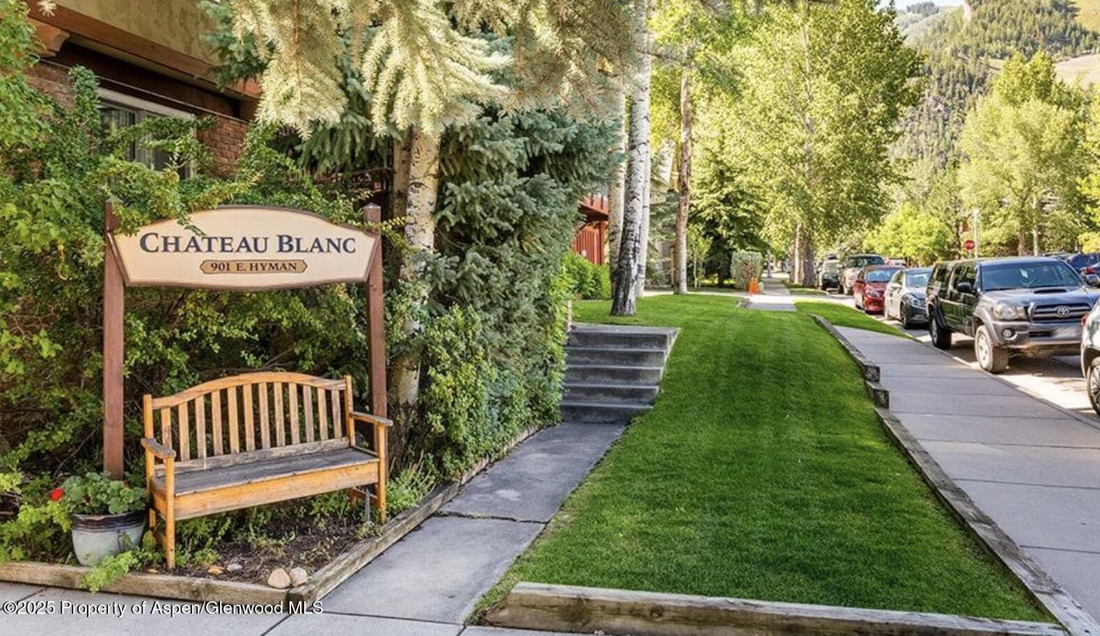 901 E Hyman Avenue Aspen CO 81611