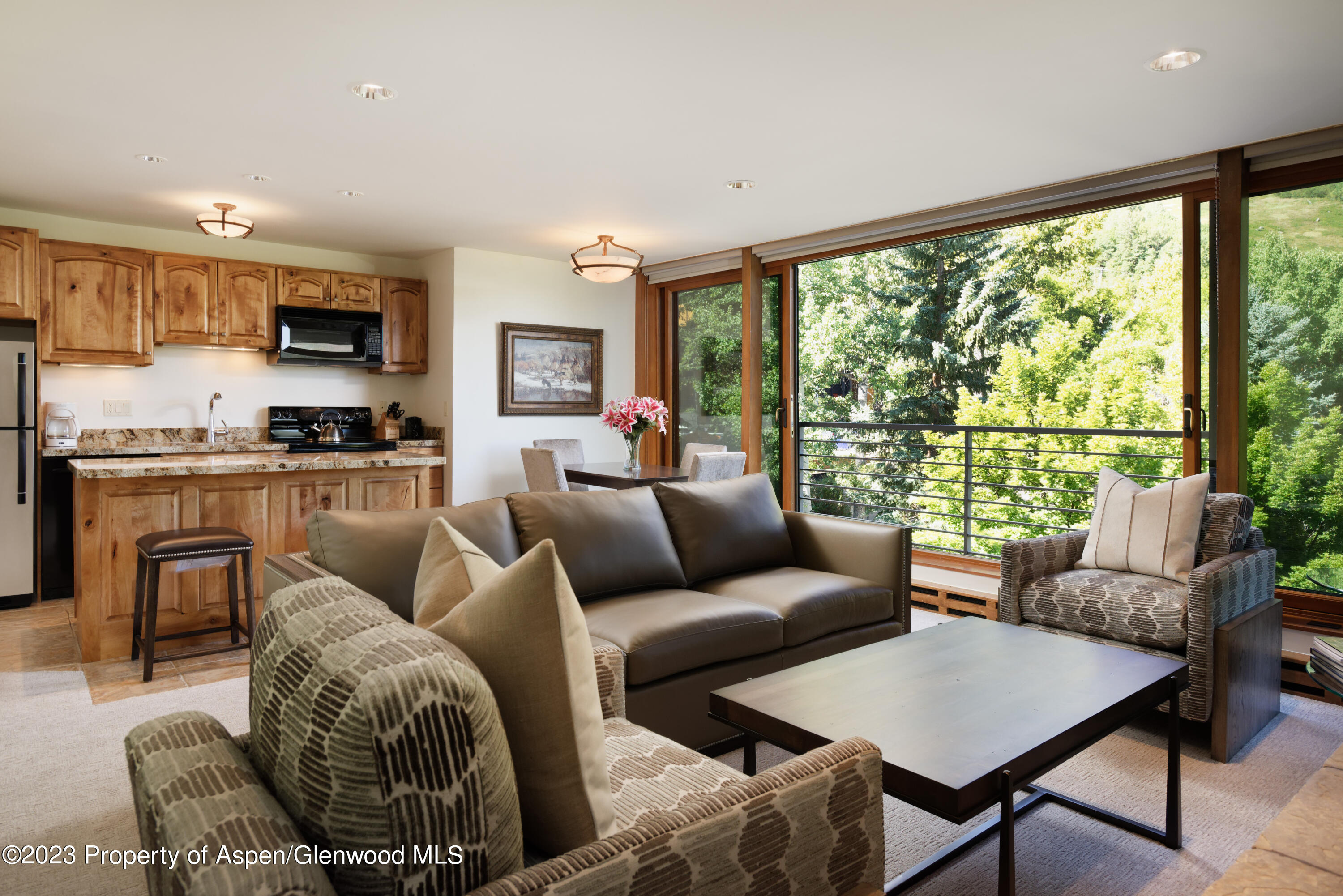 728 S Galena Street Aspen CO 81611