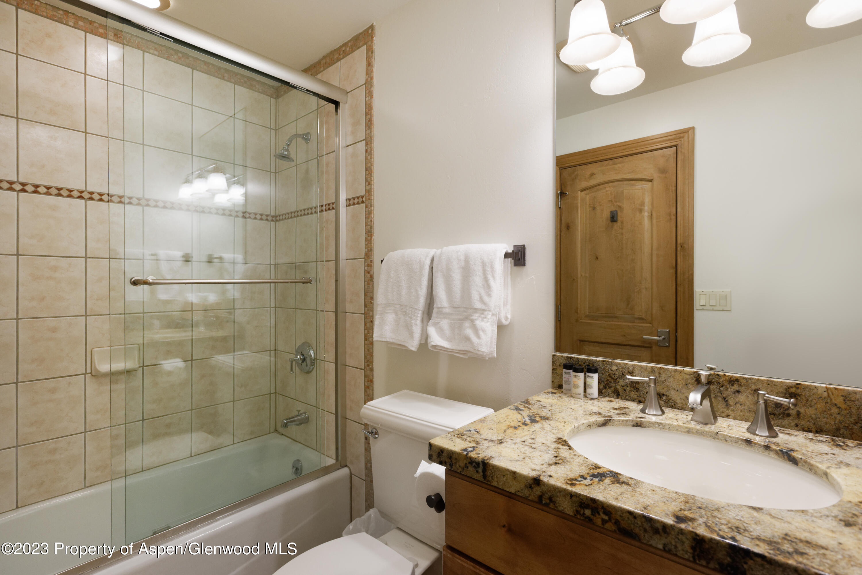 728 S Galena Street Aspen CO 81611