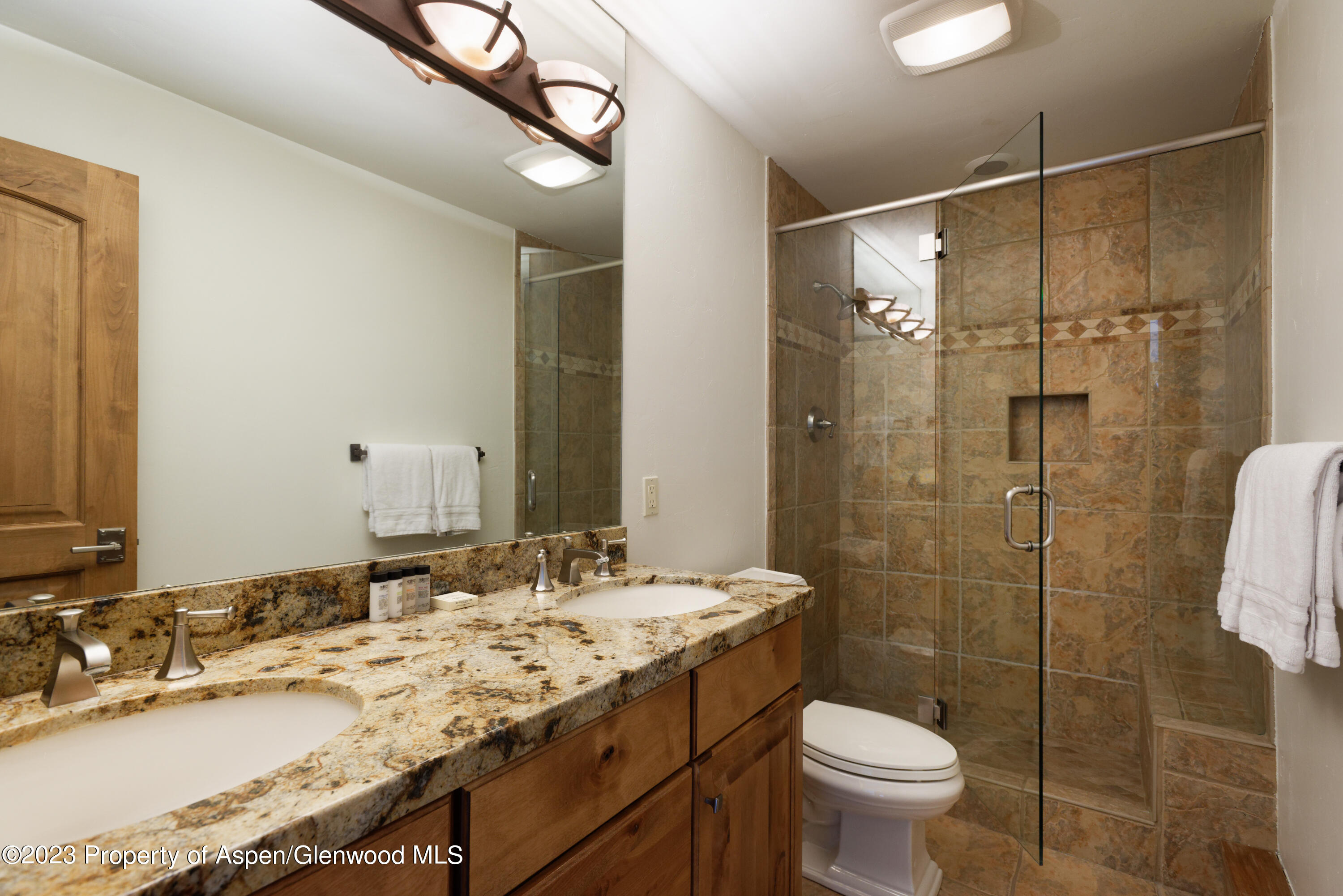 728 S Galena Street Aspen CO 81611