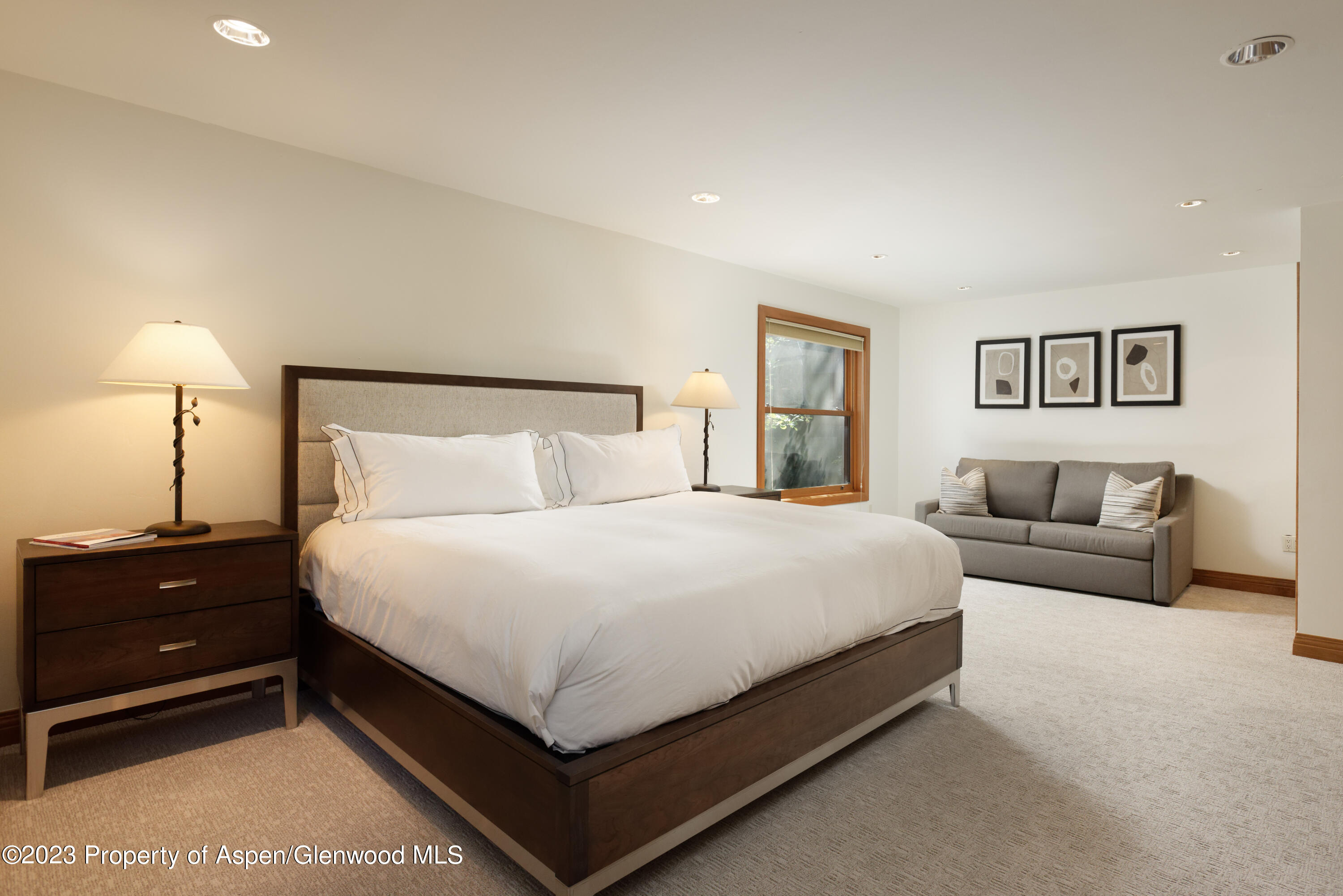 728 S Galena Street Aspen CO 81611