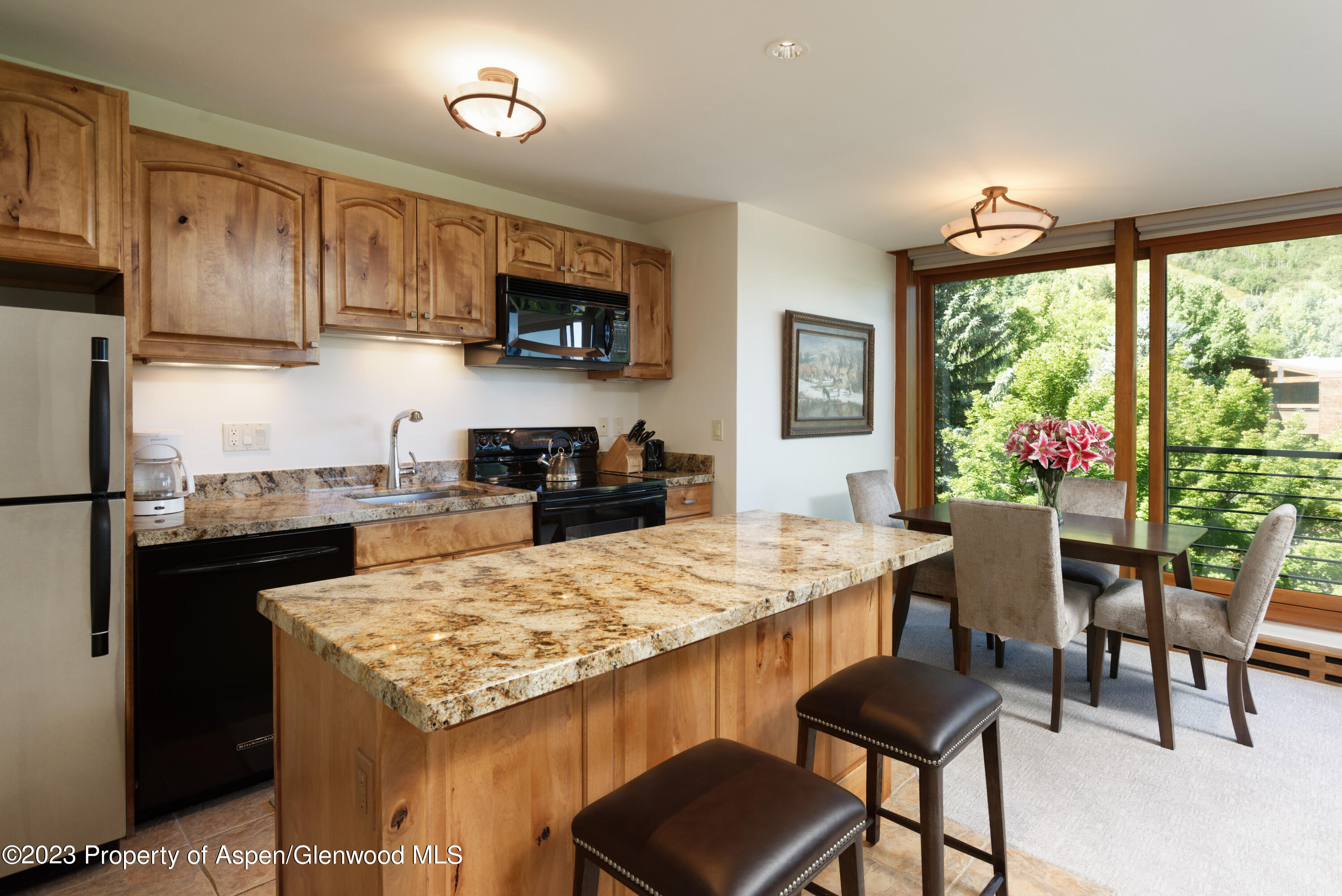 728 S Galena Street Aspen CO 81611