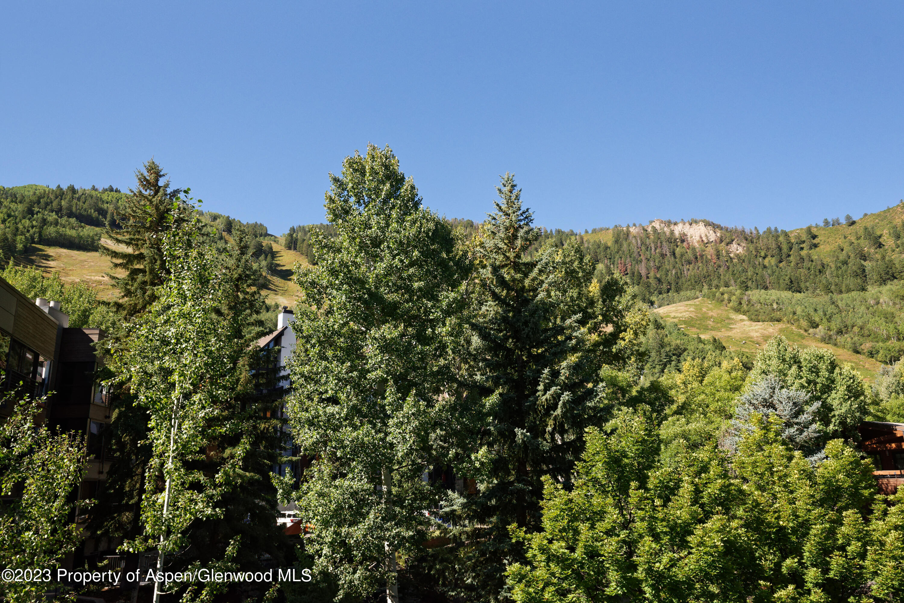 728 S Galena Street Aspen CO 81611