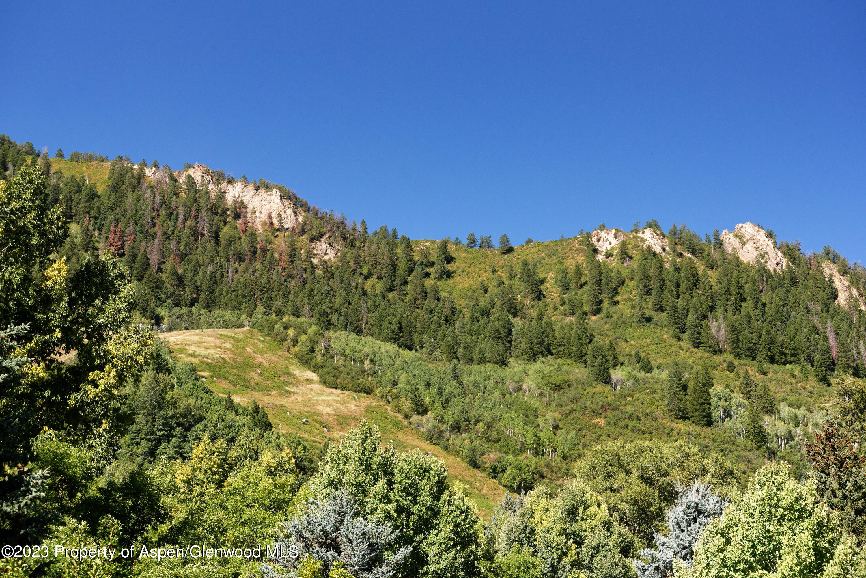 728 S Galena Street Aspen CO 81611