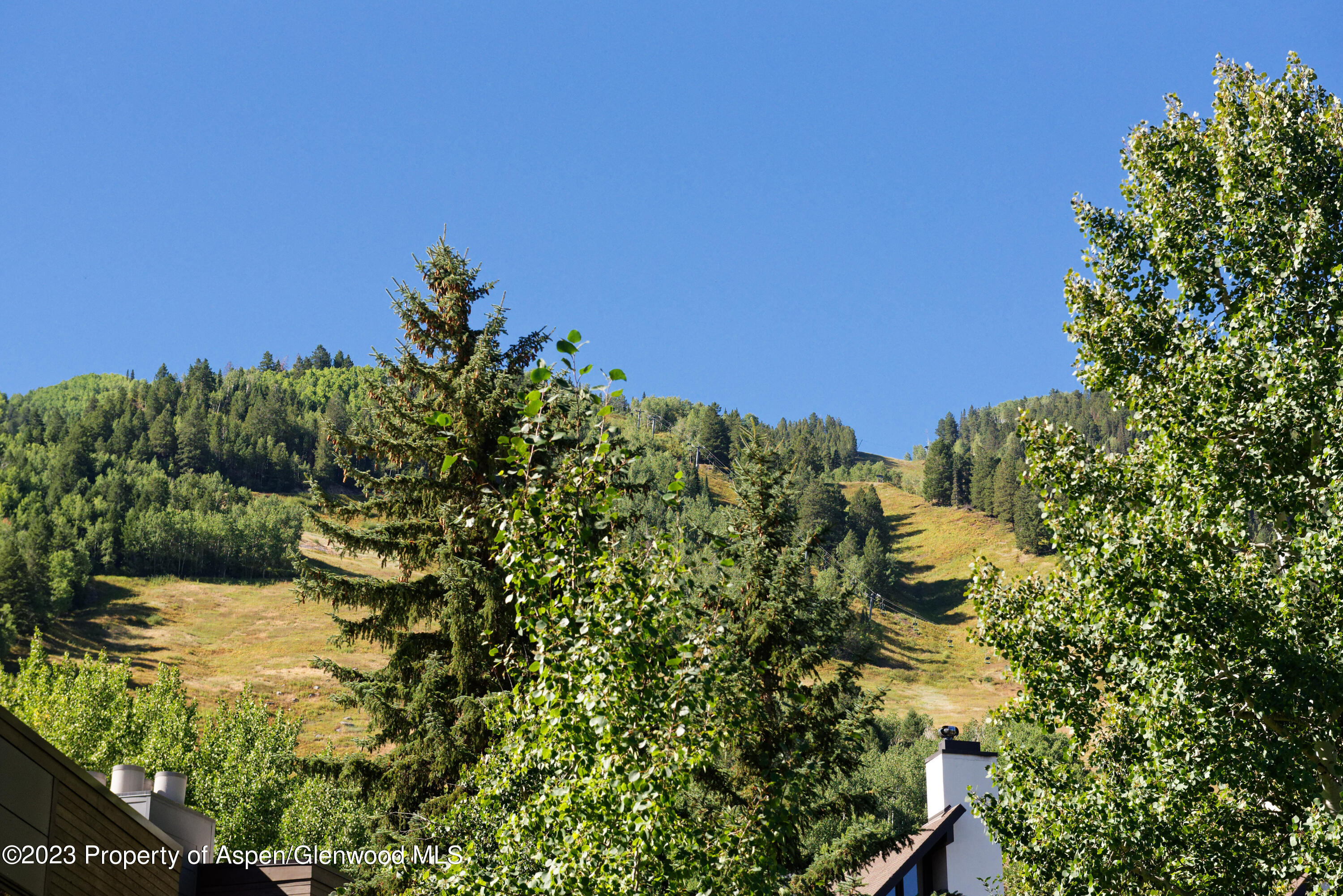 728 S Galena Street Aspen CO 81611