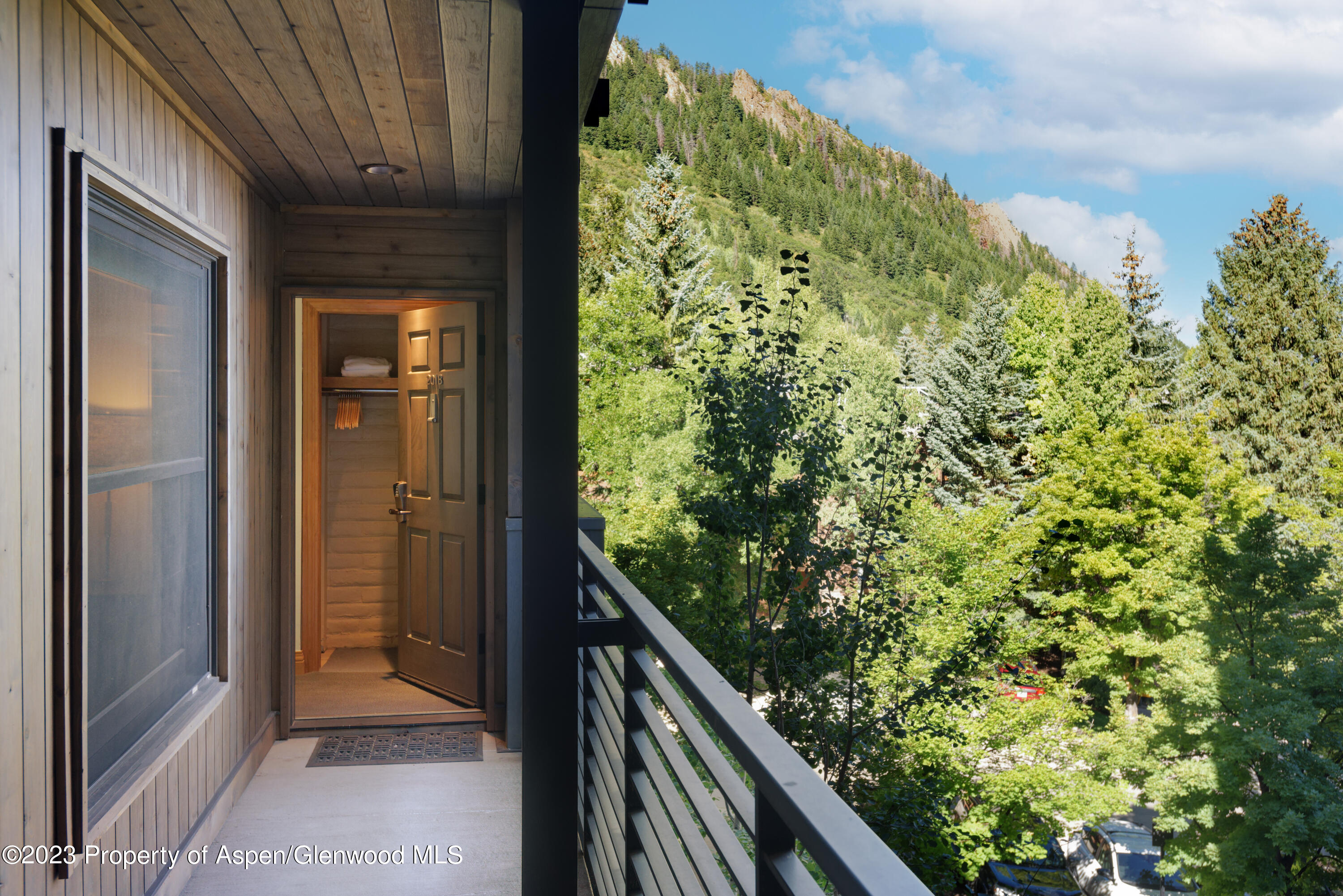 728 S Galena Street Aspen CO 81611