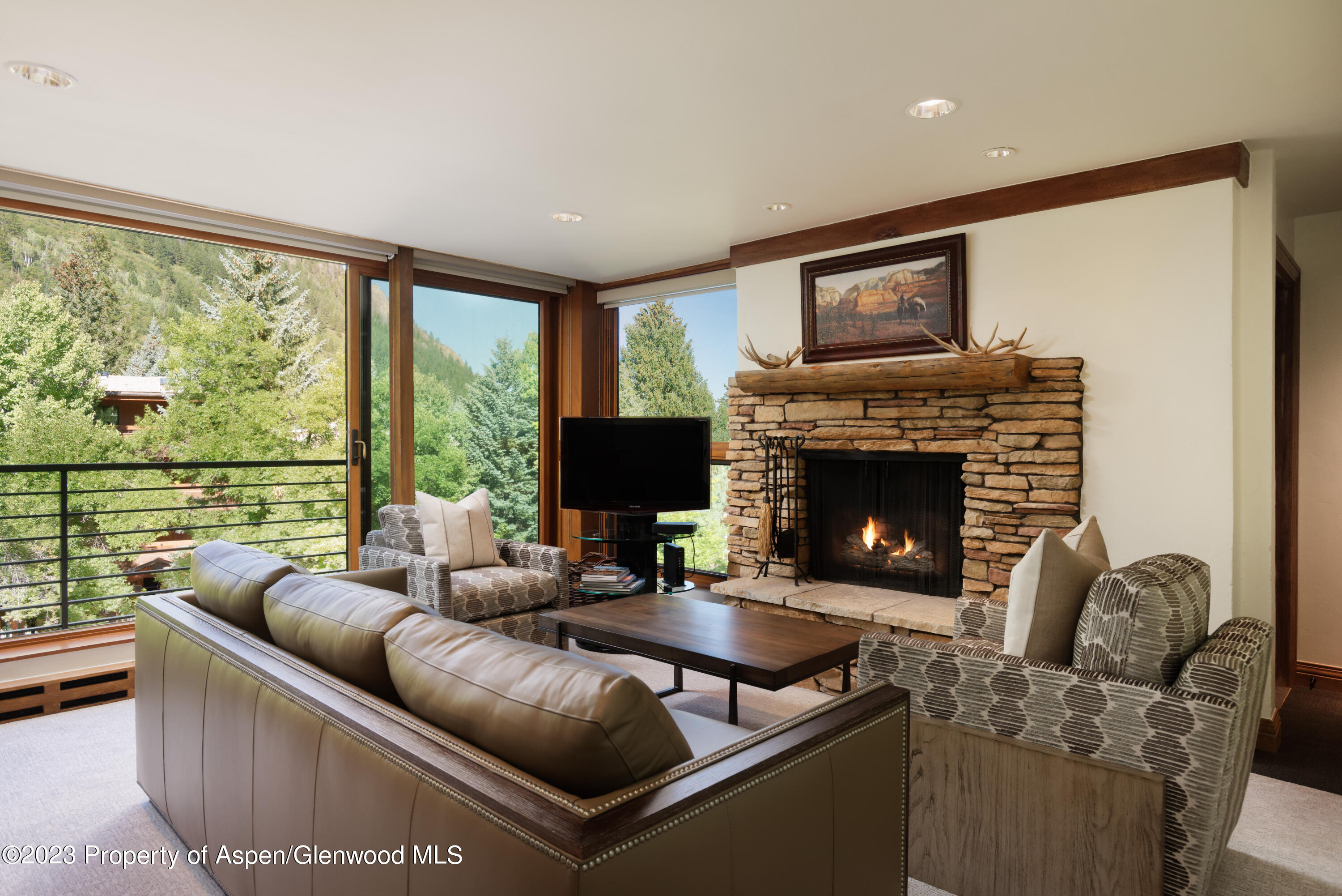 728 S Galena Street Aspen CO 81611