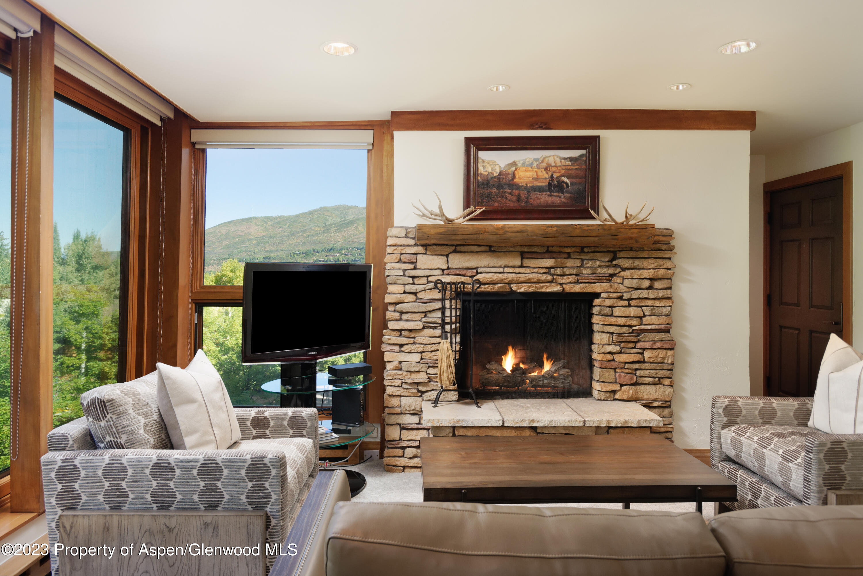 728 S Galena Street Aspen CO 81611