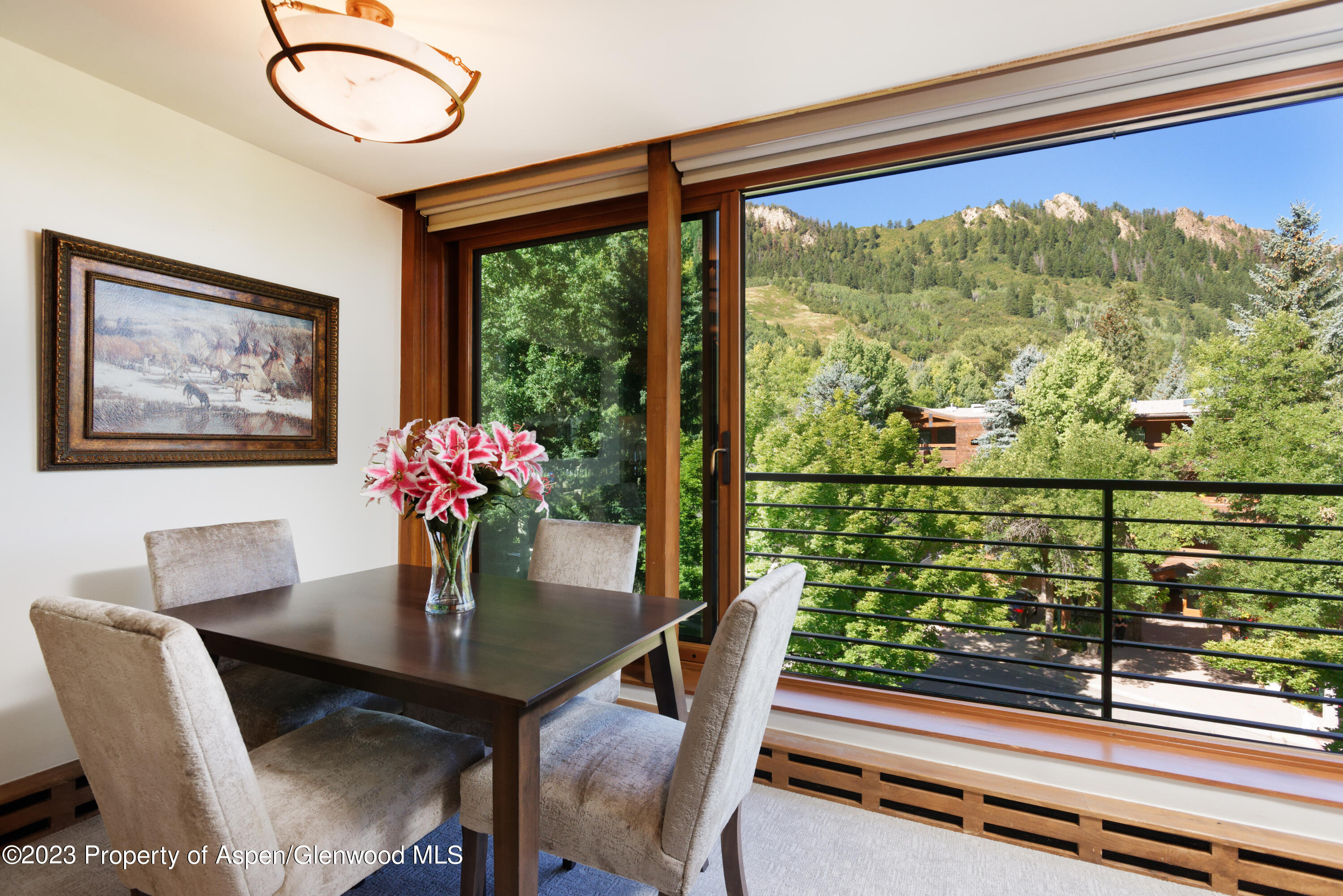 728 S Galena Street Aspen CO 81611