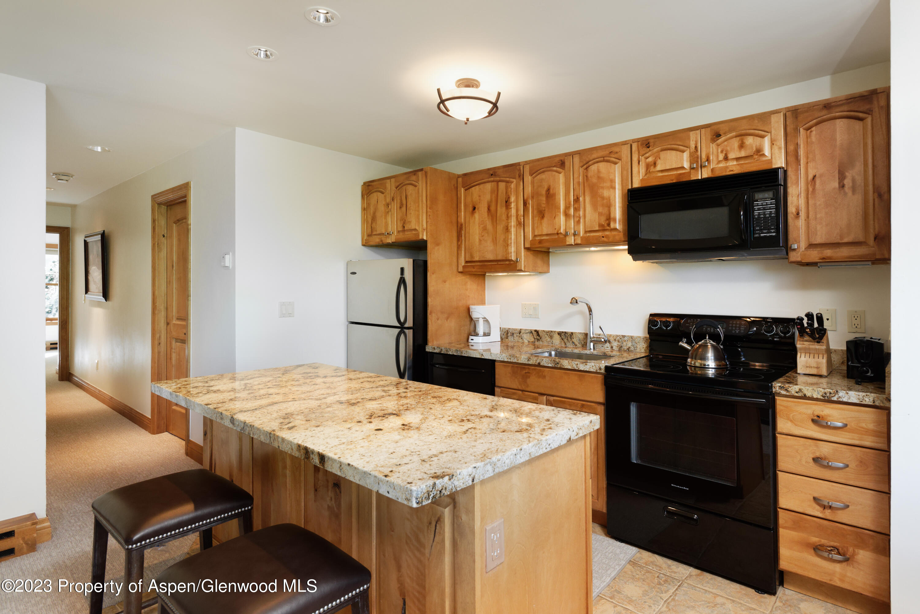 728 S Galena Street Aspen CO 81611