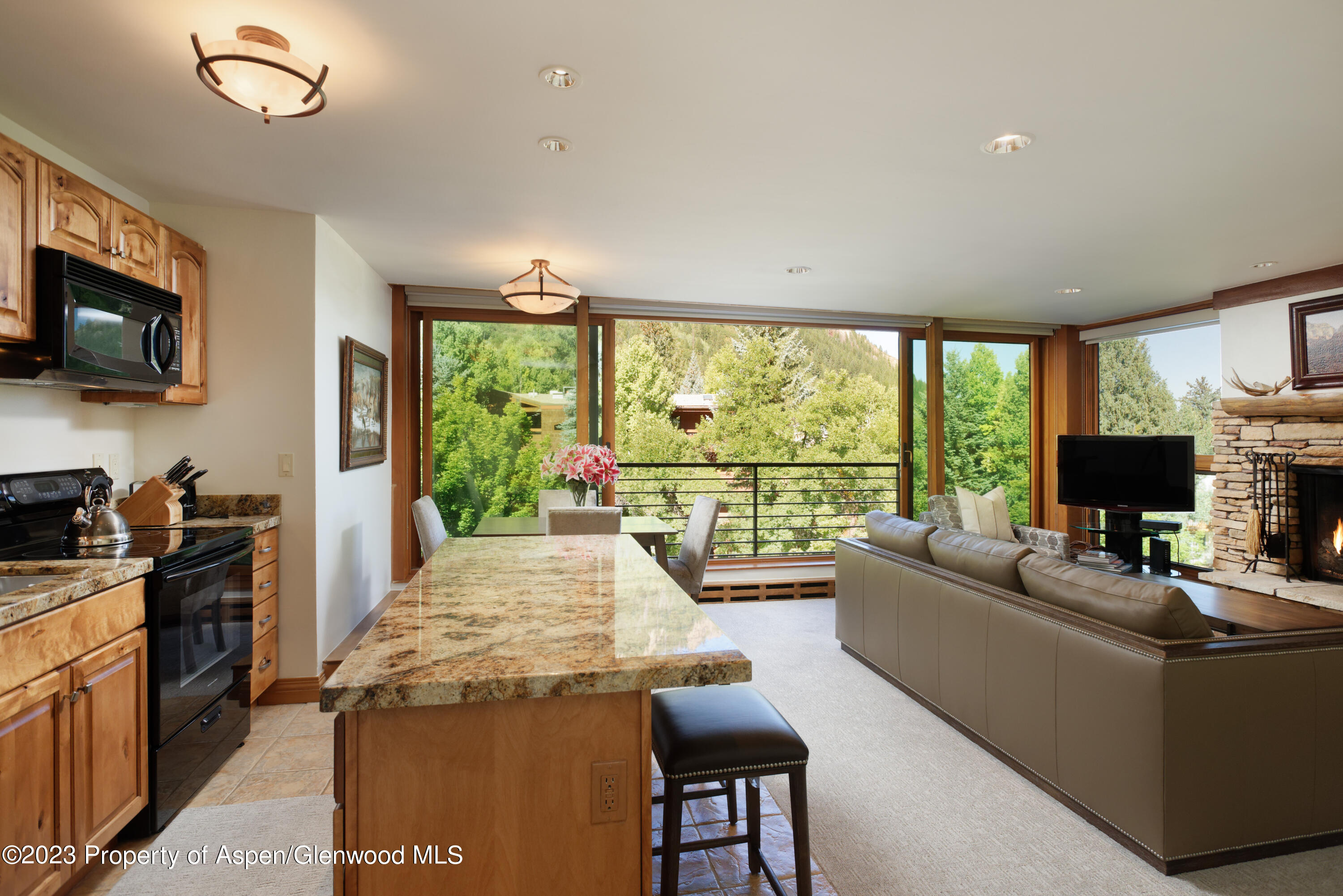 728 S Galena Street Aspen CO 81611