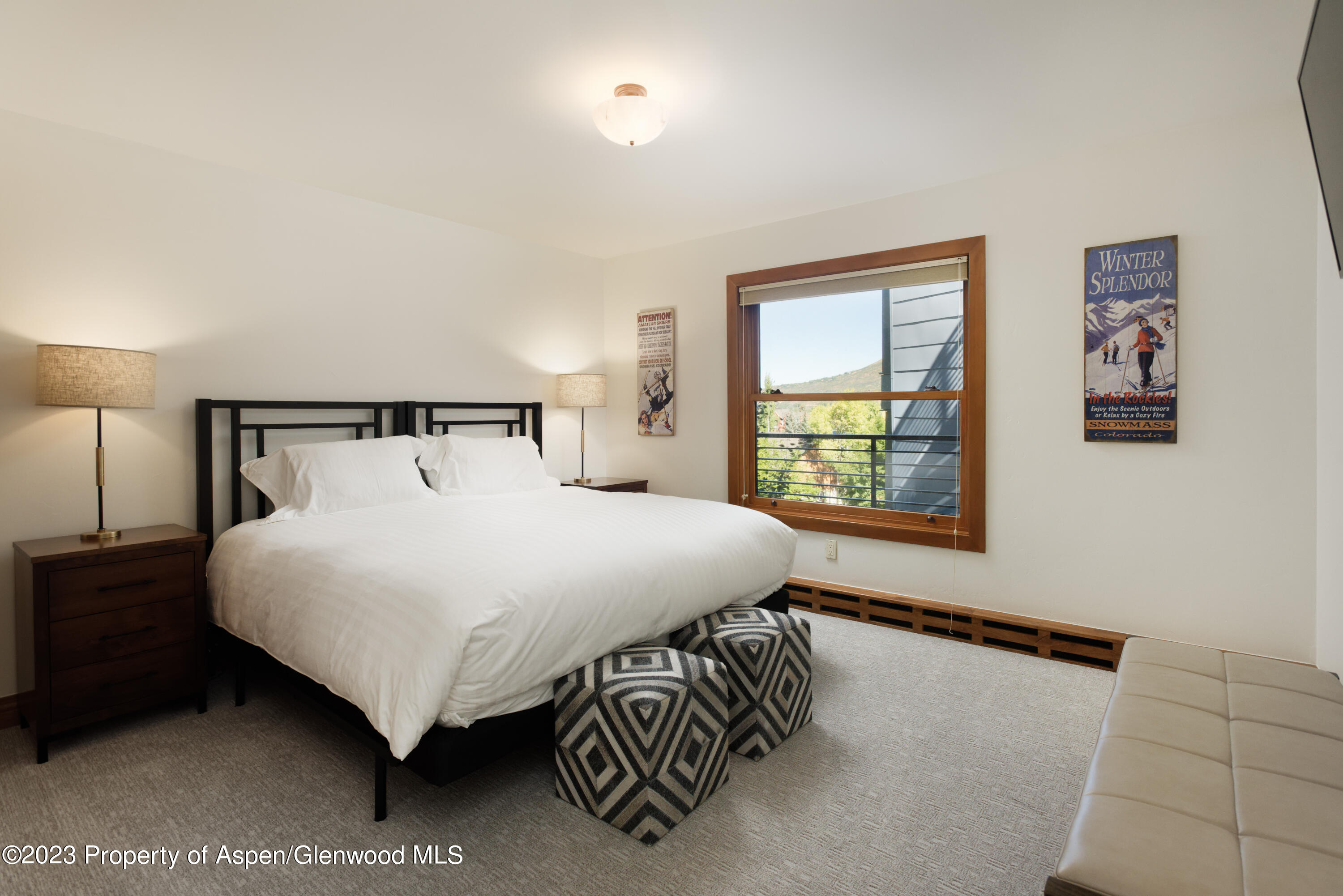 728 S Galena Street Aspen CO 81611