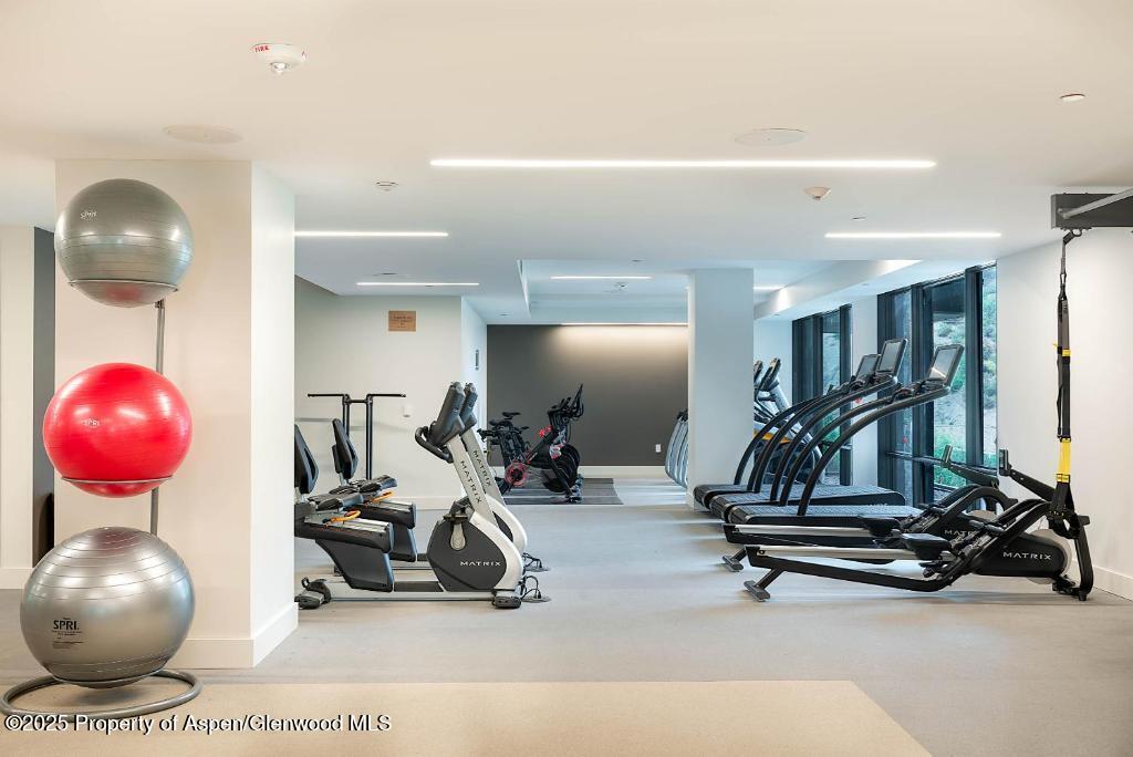 180 Wood Road Snowmass Village CO 81615