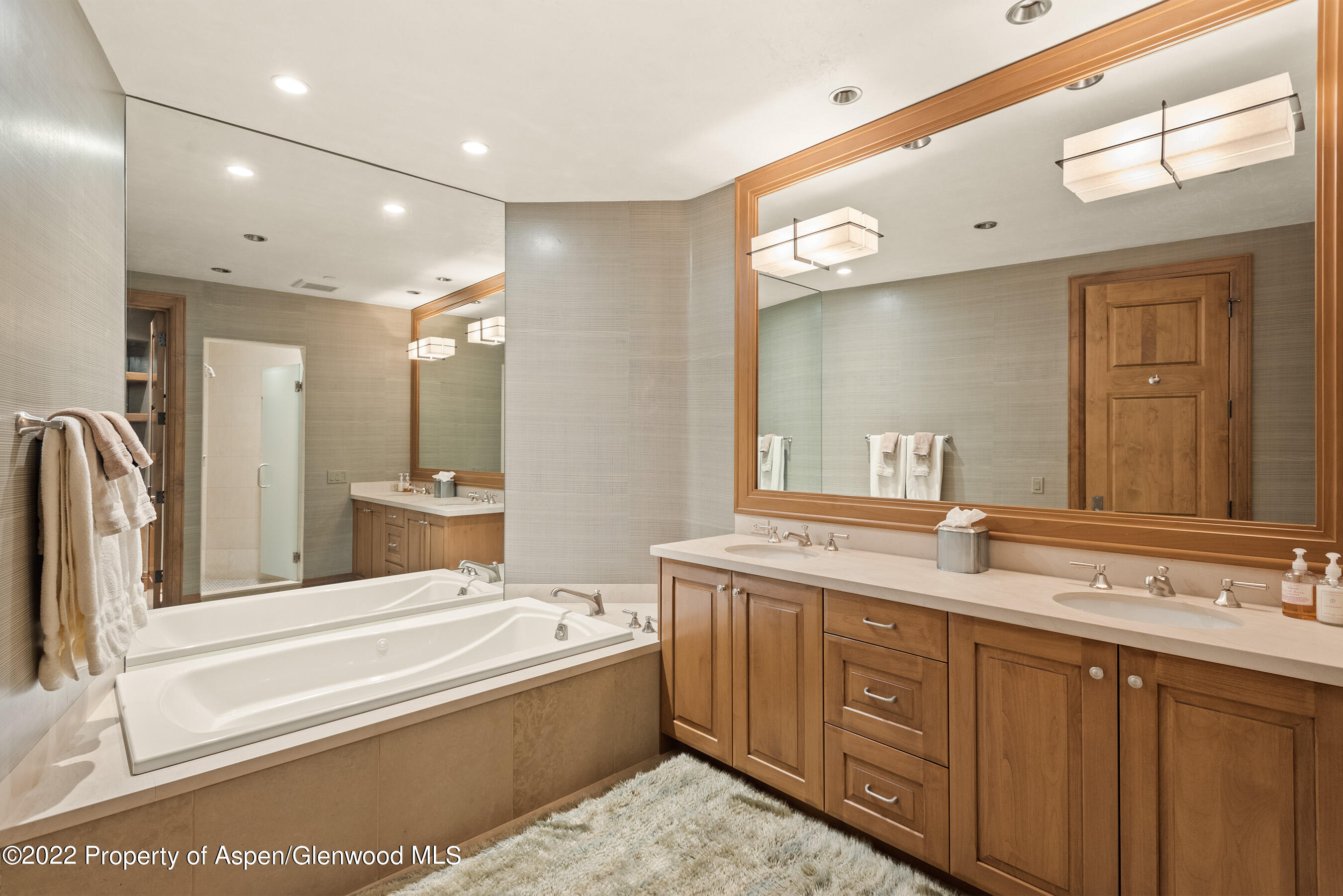 234 Magnifico Road Aspen CO 81611