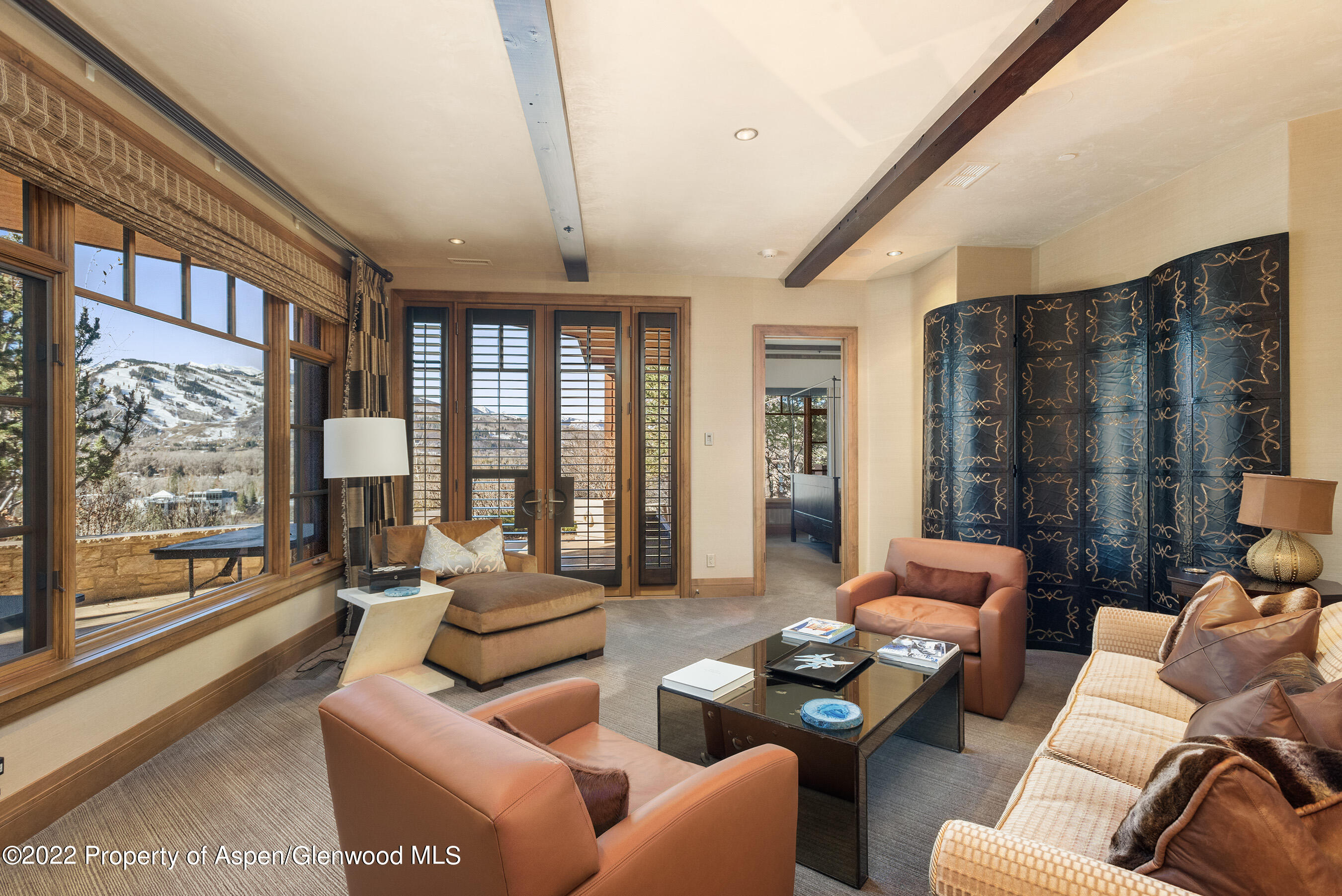 234 Magnifico Road Aspen CO 81611