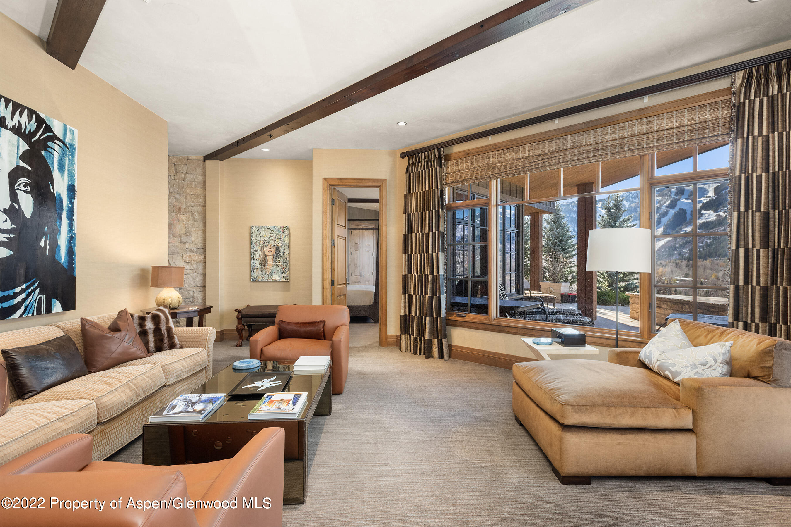 234 Magnifico Road Aspen CO 81611