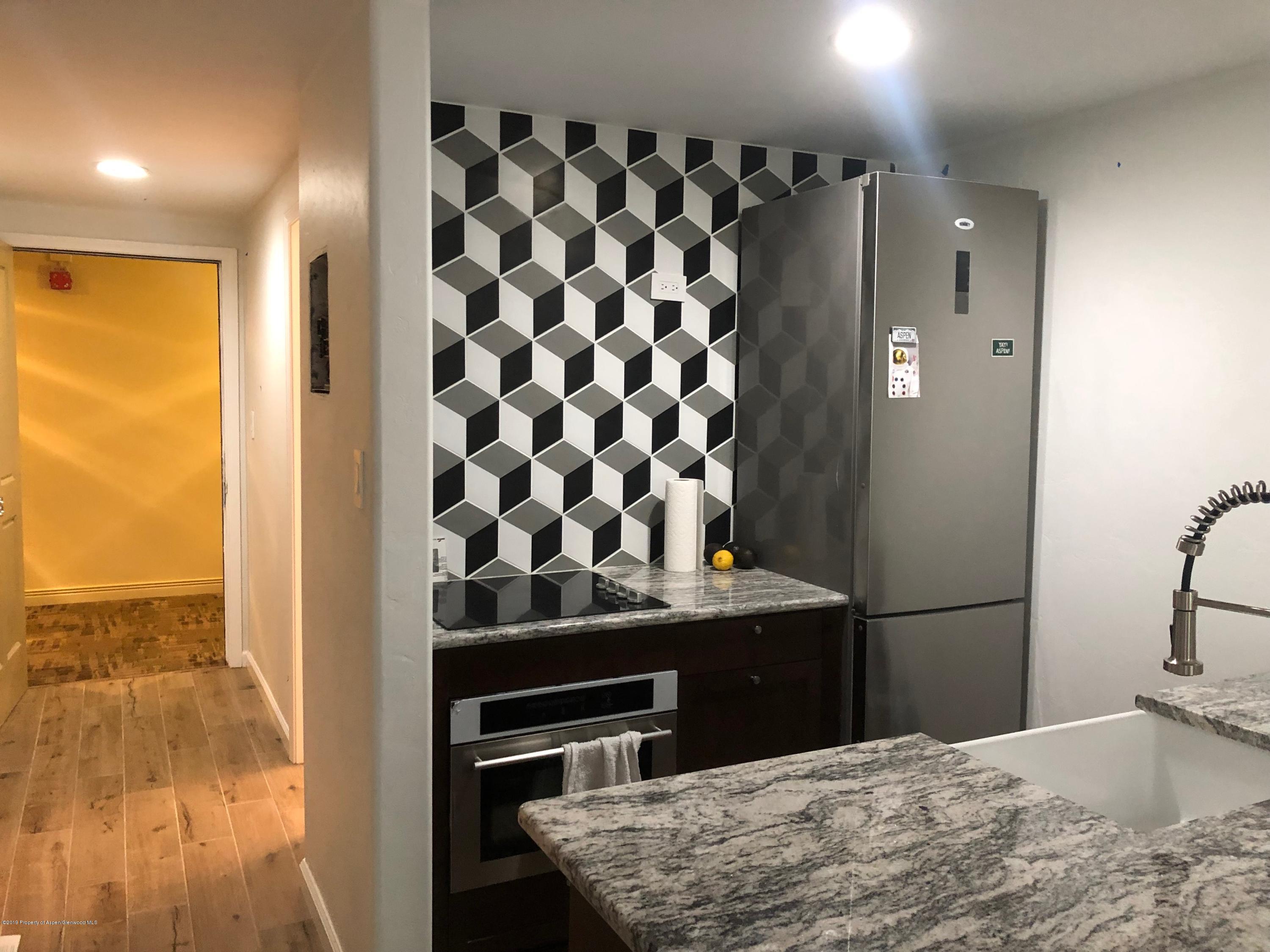 119 E Cooper Avenue Aspen CO 81611