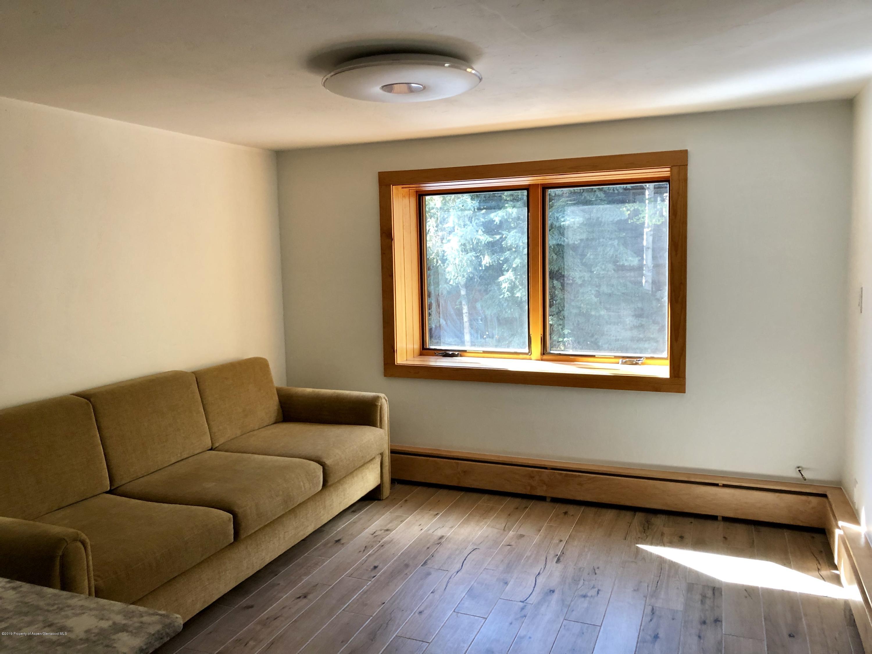 119 E Cooper Avenue Aspen CO 81611