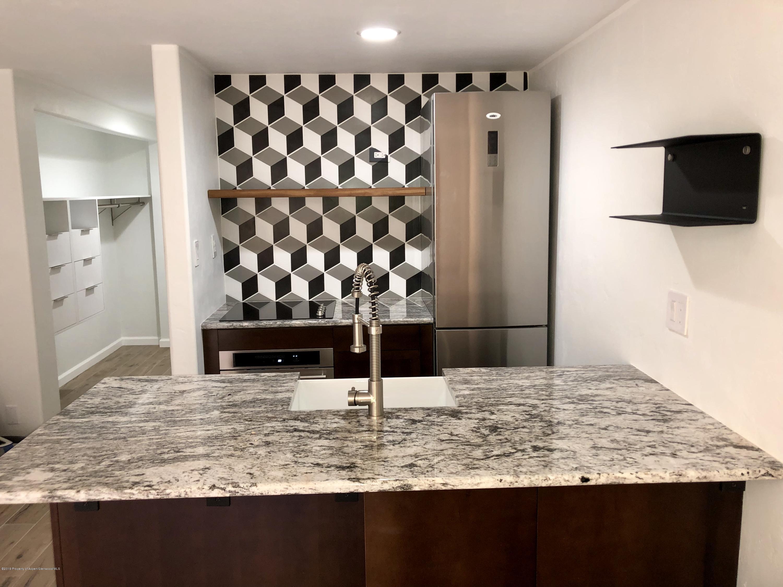 119 E Cooper Avenue Aspen CO 81611