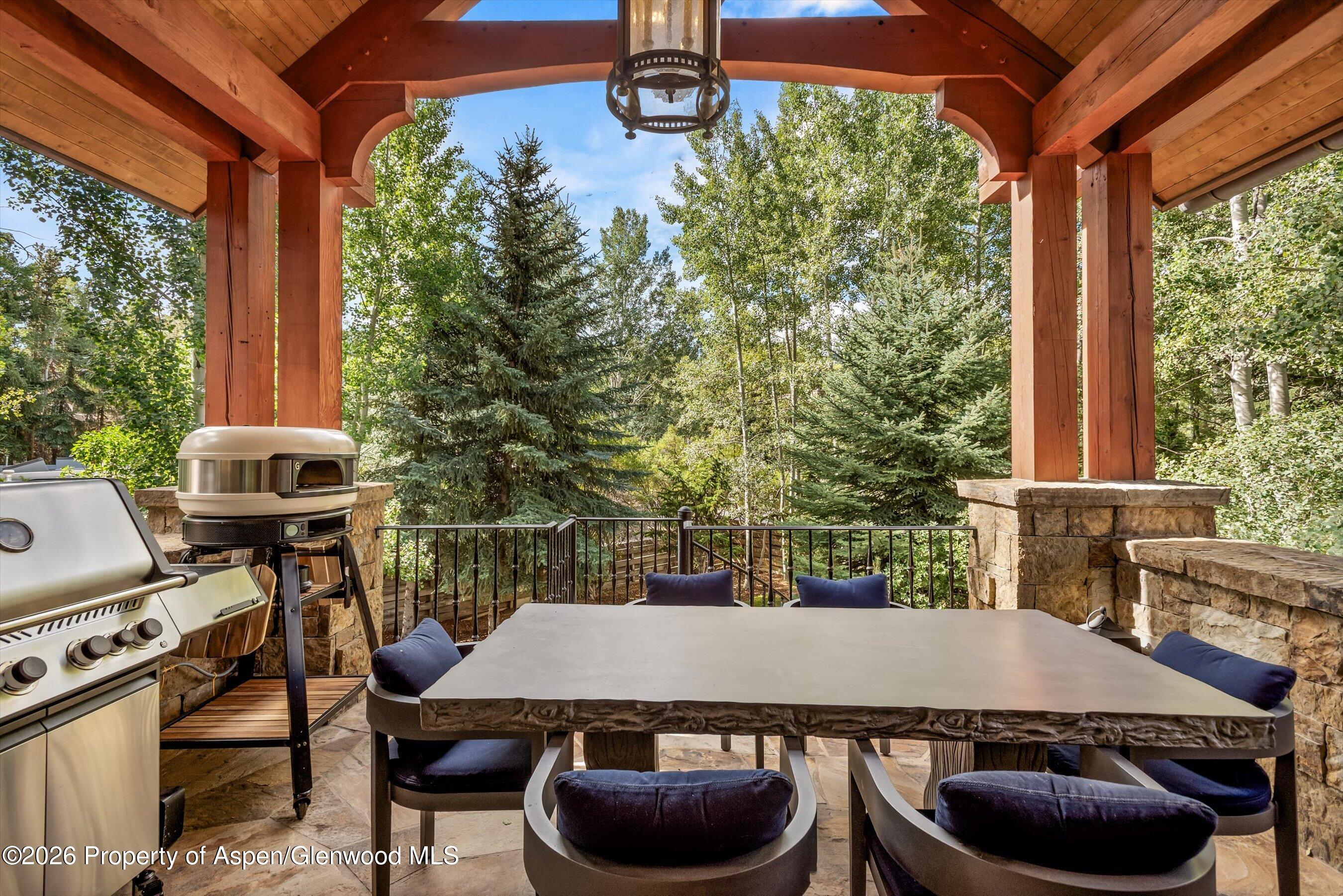 1395 Snowbunny Lane Aspen CO 81611