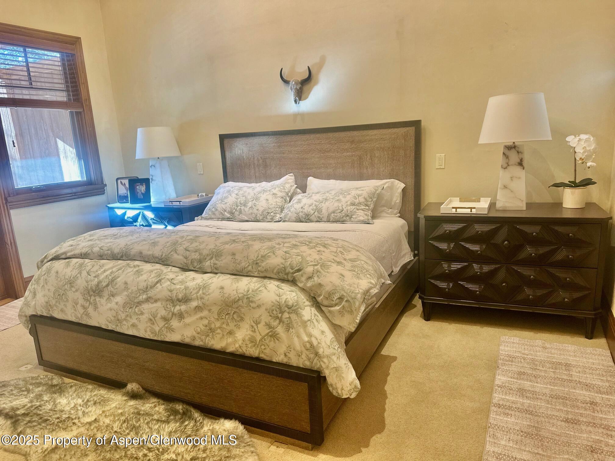 1395 Snowbunny Lane Aspen CO 81611