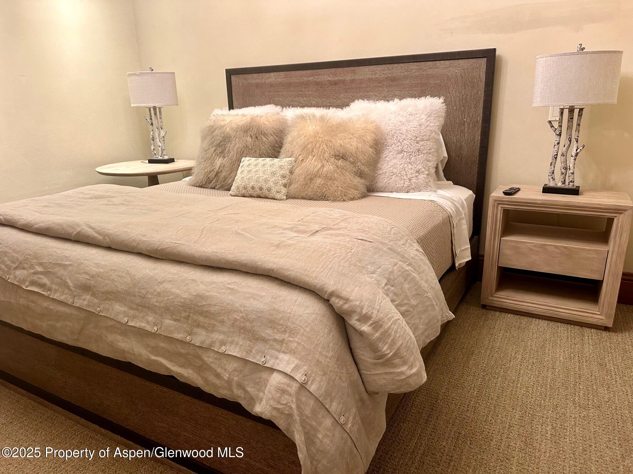 1395 Snowbunny Lane Aspen CO 81611