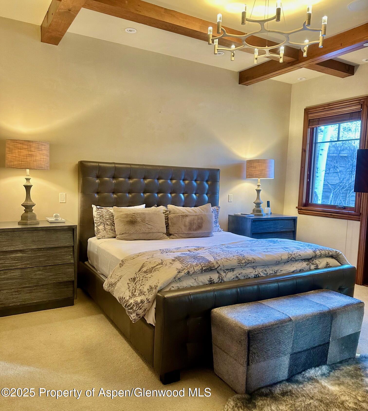 1395 Snowbunny Lane Aspen CO 81611