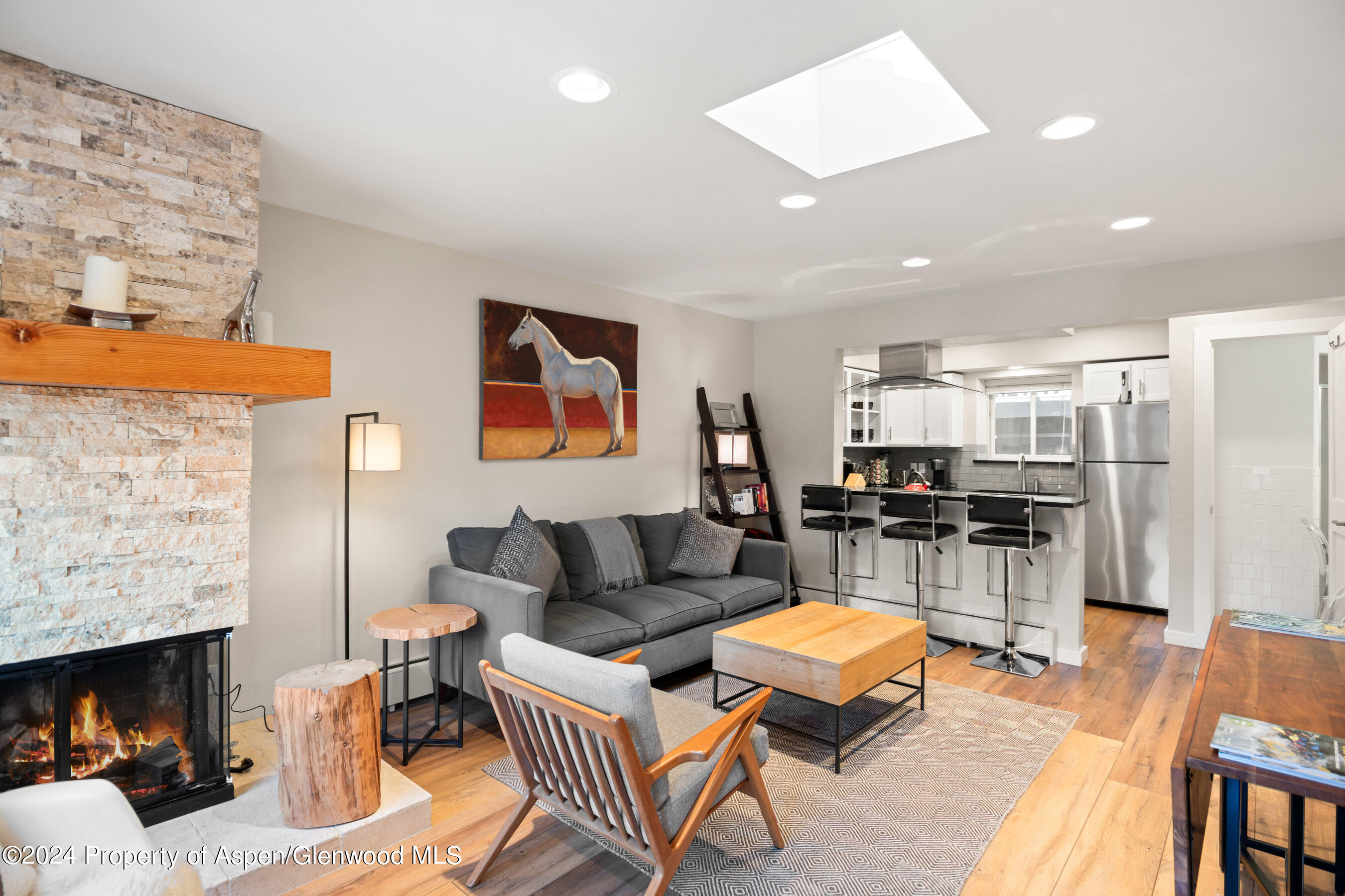 108 W Hyman Avenue Aspen CO 81611