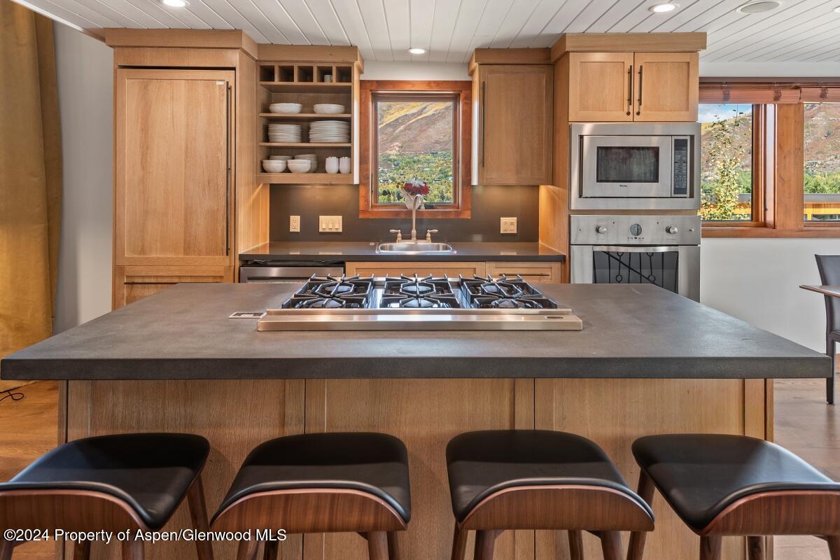 809 S Aspen Street Aspen CO 81611