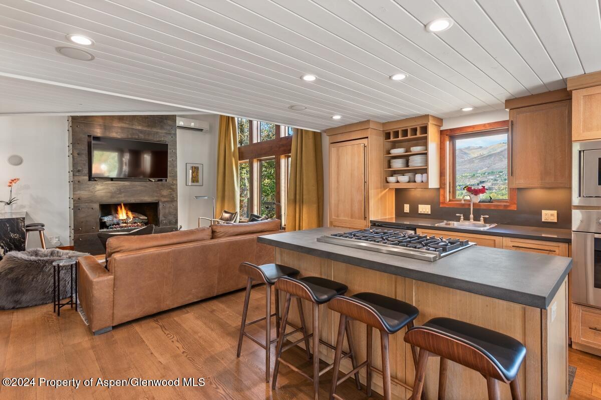 809 S Aspen Street Aspen CO 81611