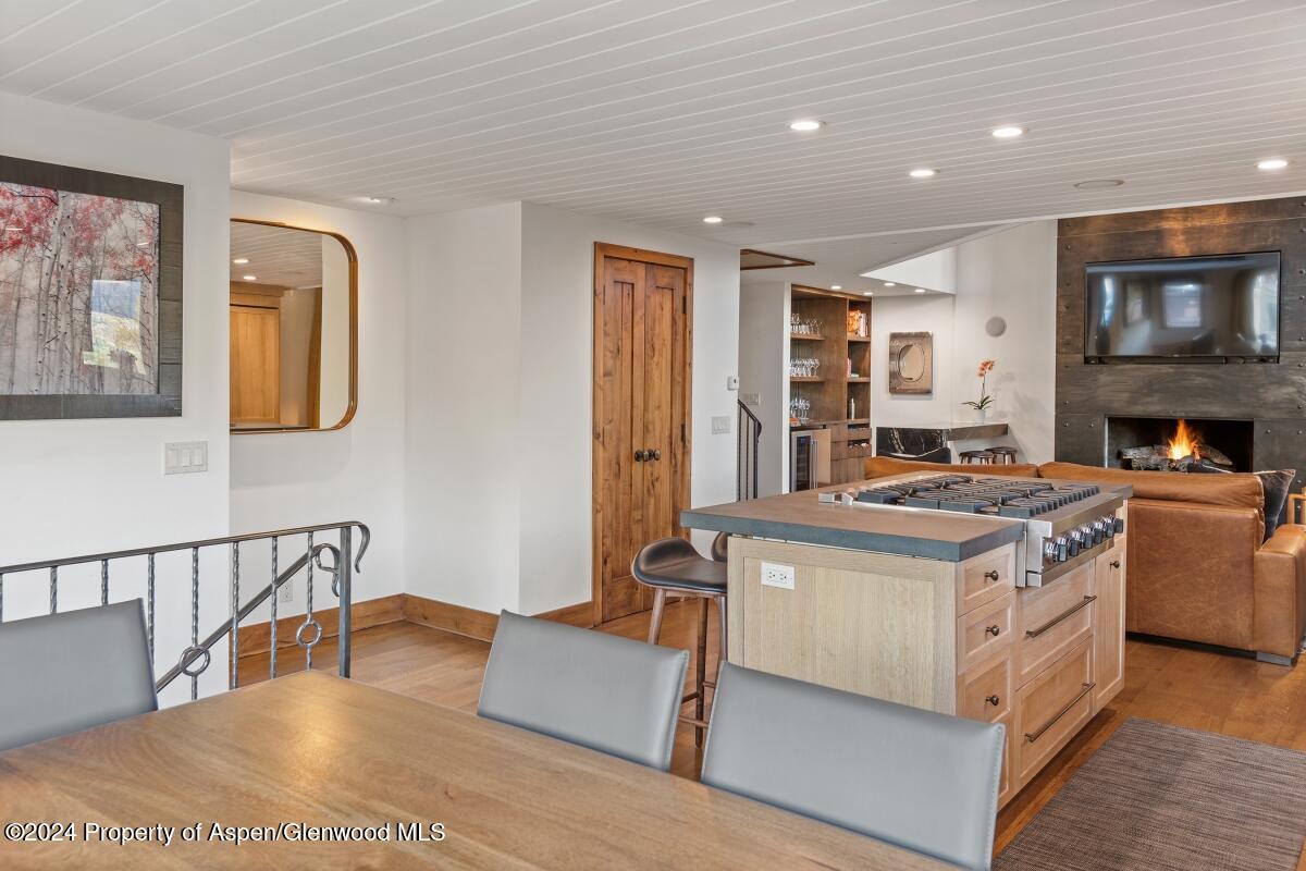 809 S Aspen Street Aspen CO 81611