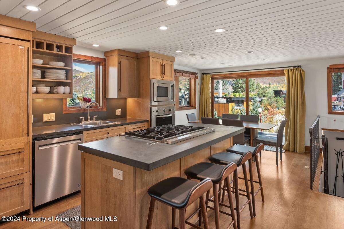 809 S Aspen Street Aspen CO 81611