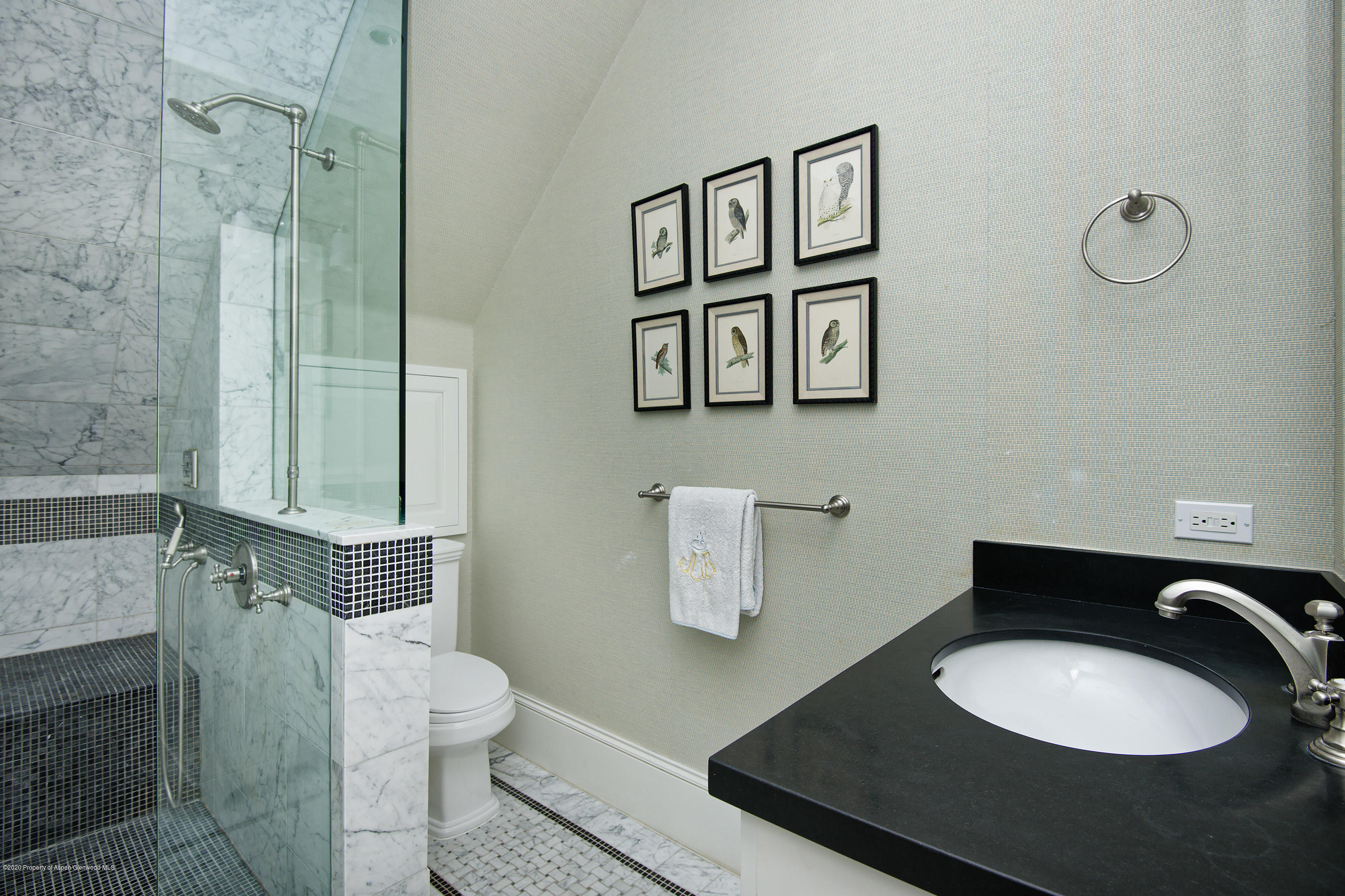 716 W Francis Street Aspen CO 81611