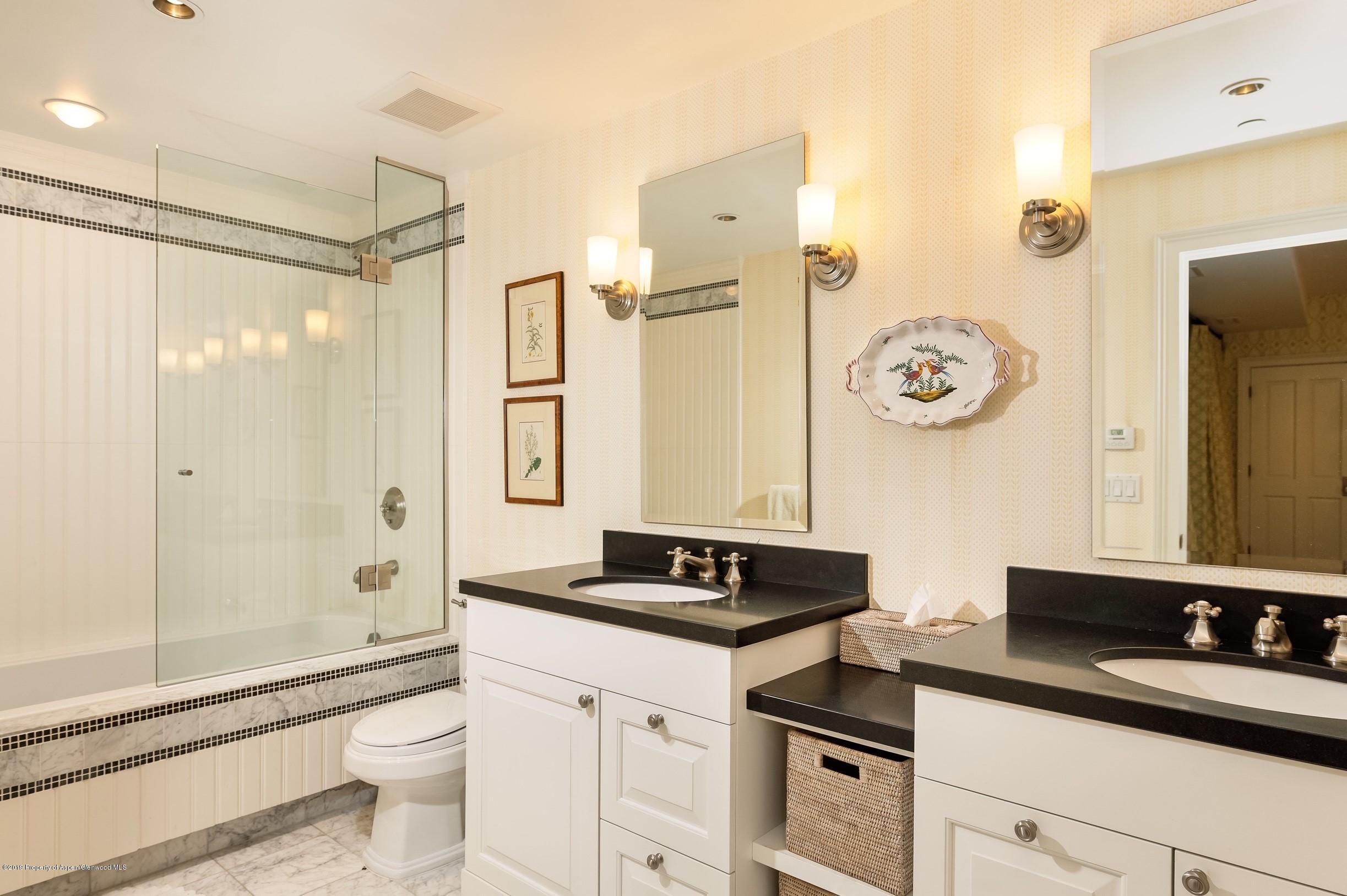 716 W Francis Street Aspen CO 81611