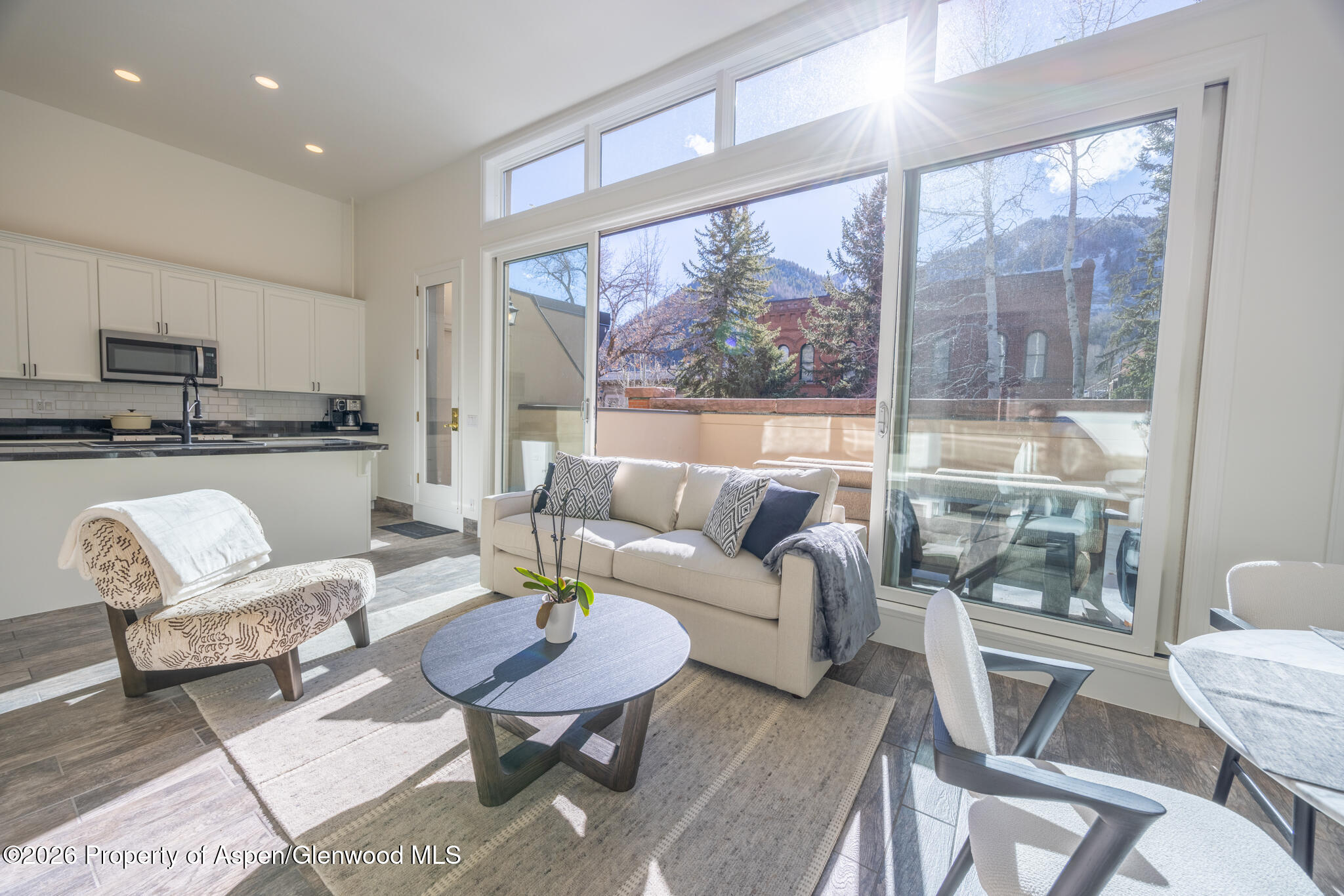 426 E Hyman Aspen CO 81611