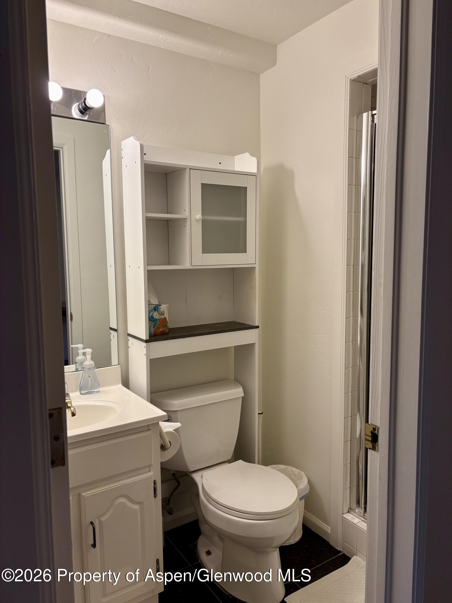 426 E Hyman Aspen CO 81611