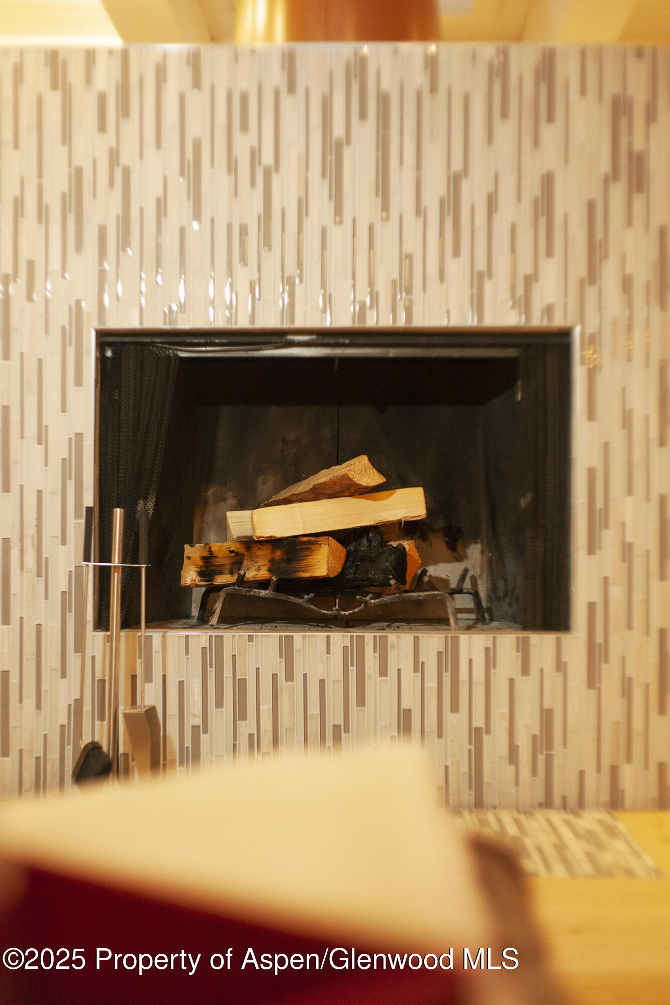 1039 E Cooper Avenue Aspen CO 81611