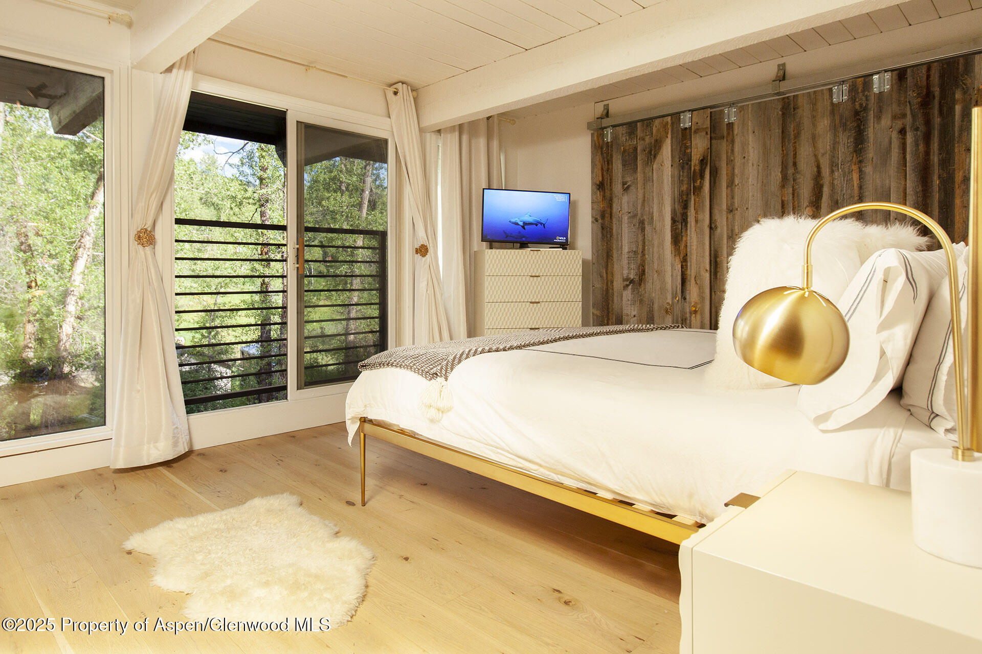 1039 E Cooper Avenue Aspen CO 81611