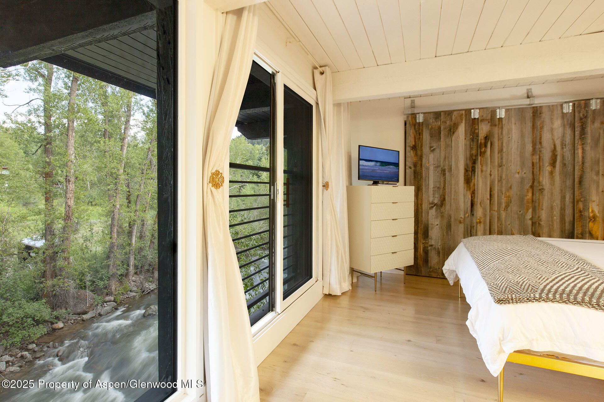 1039 E Cooper Avenue Aspen CO 81611