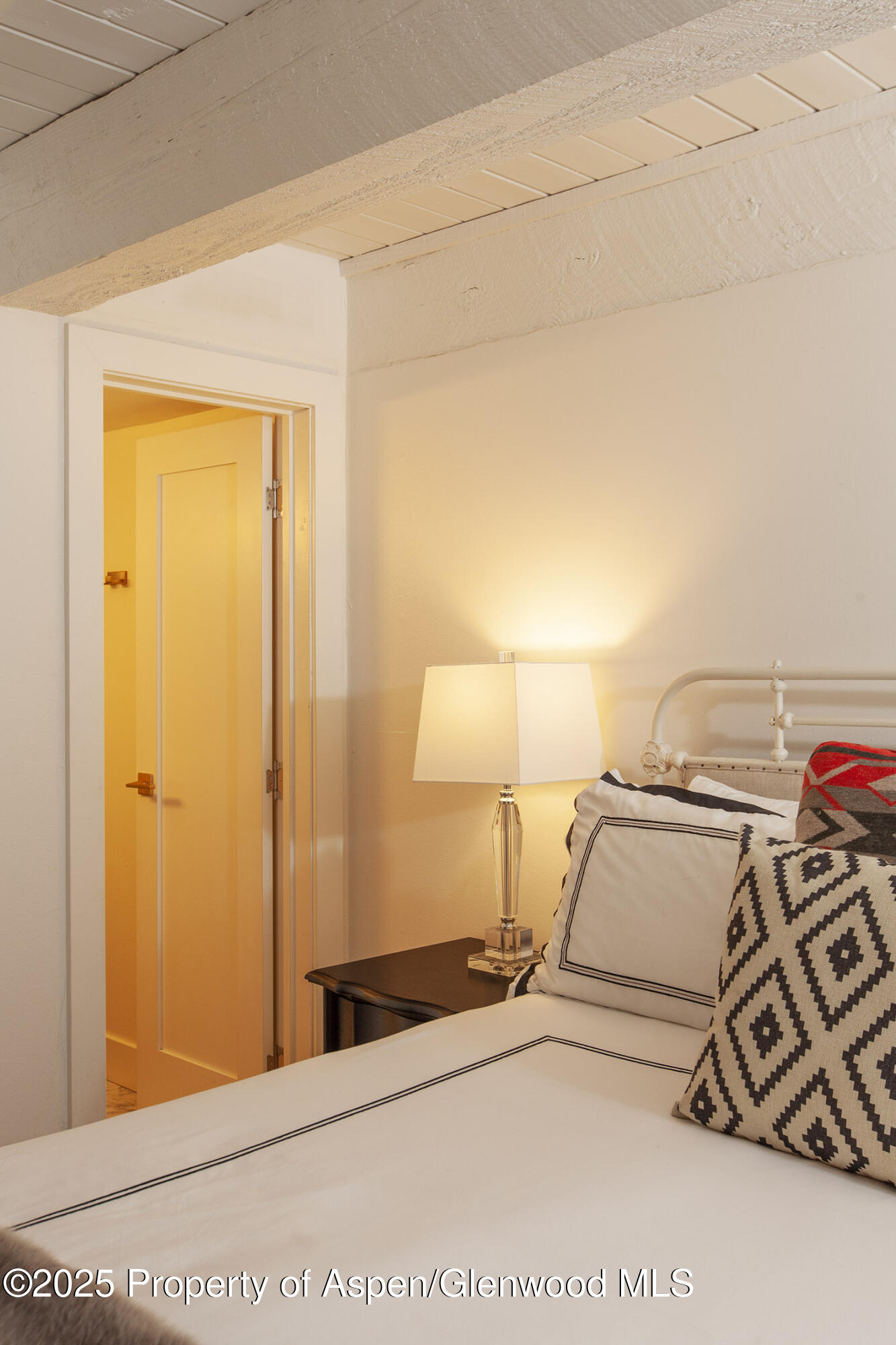 1039 E Cooper Avenue Aspen CO 81611