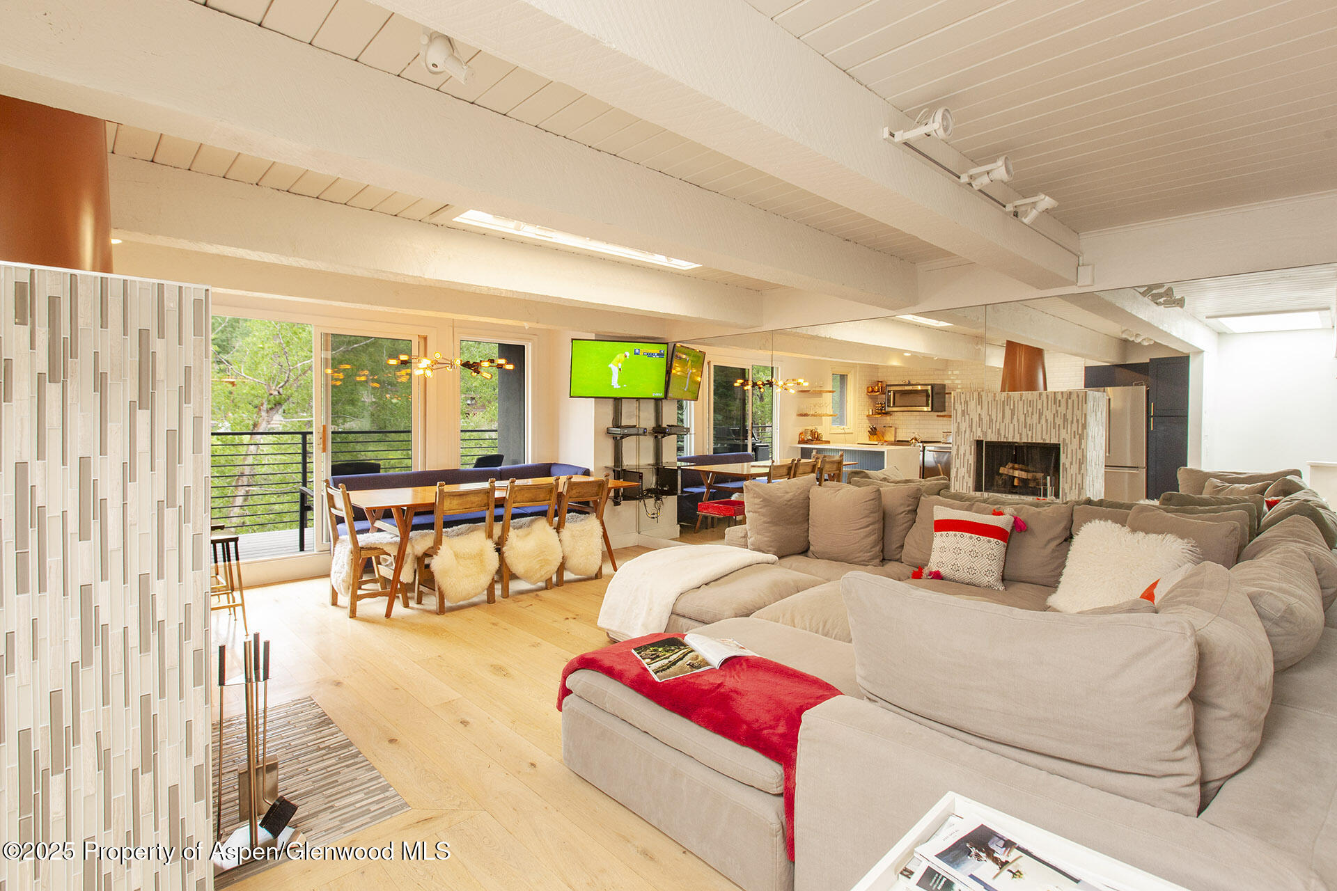 1039 E Cooper Avenue Aspen CO 81611