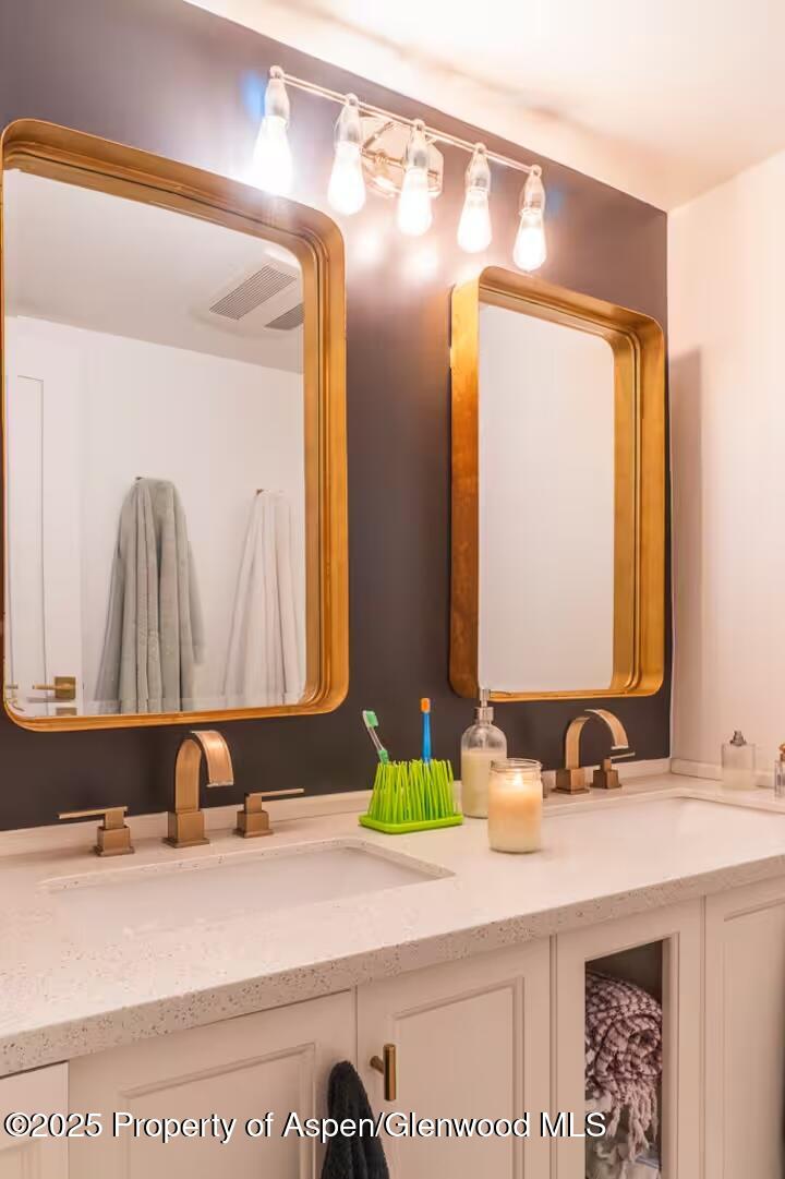 1039 E Cooper Avenue Aspen CO 81611