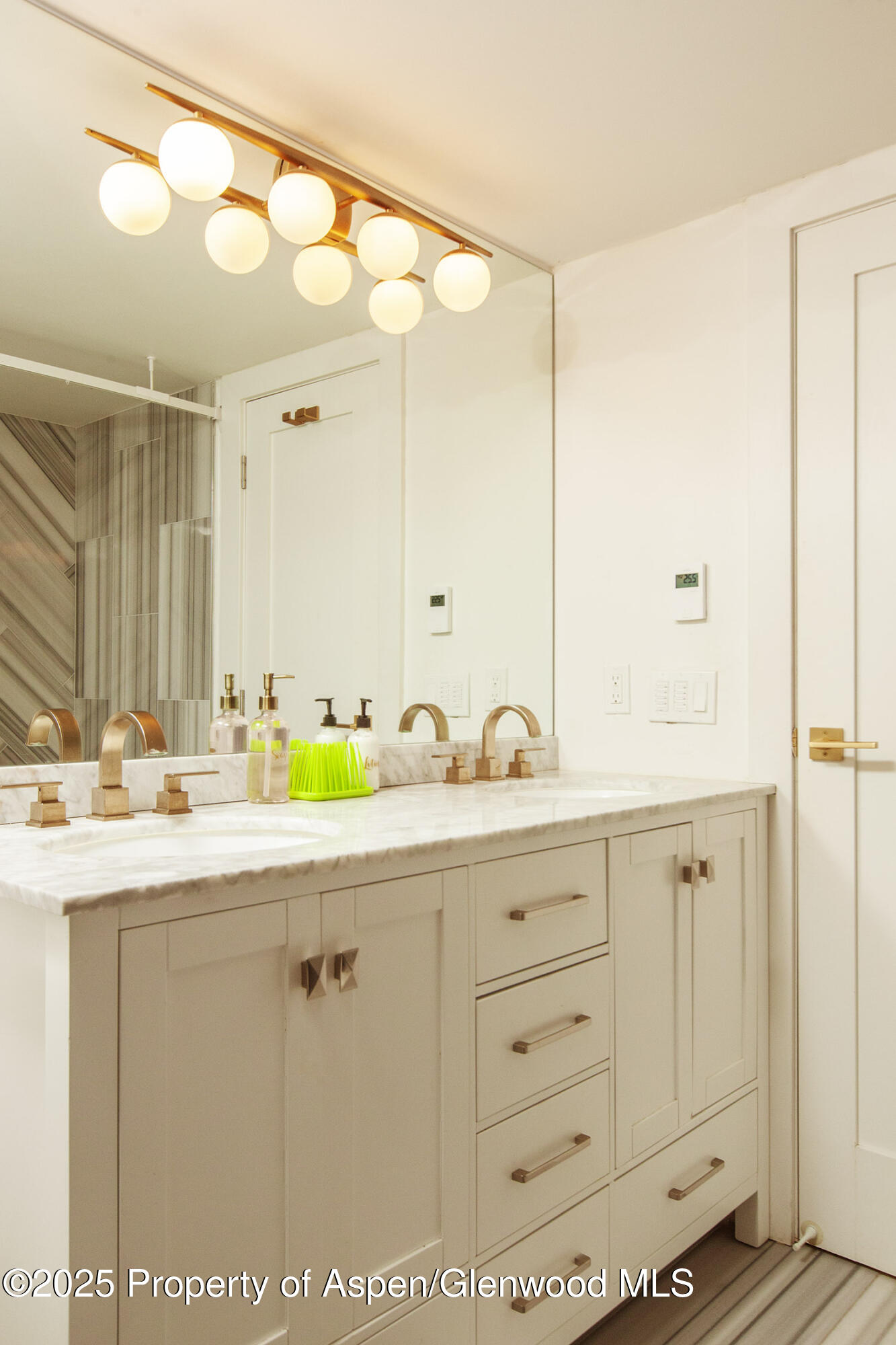 1039 E Cooper Avenue Aspen CO 81611