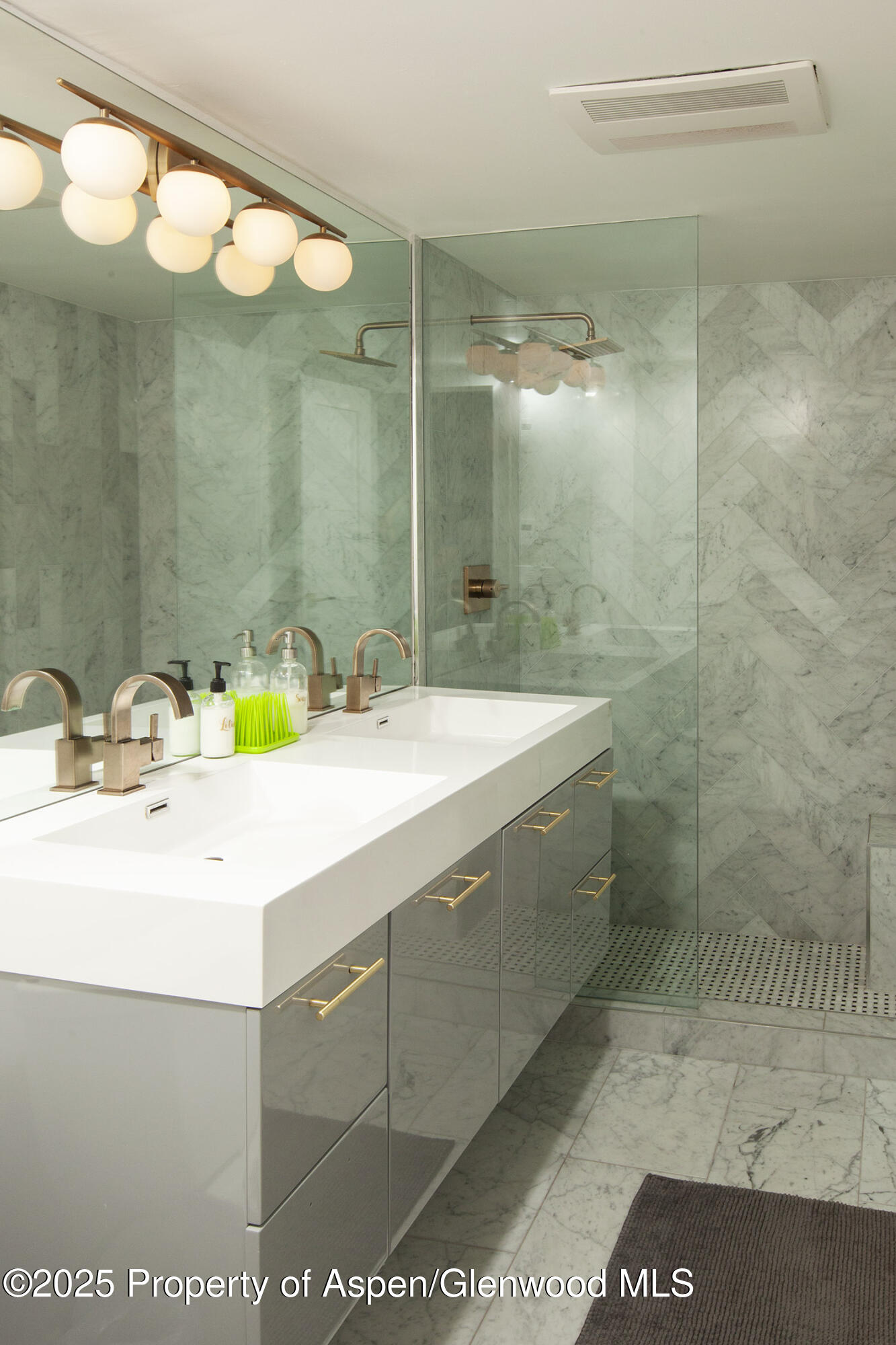 1039 E Cooper Avenue Aspen CO 81611