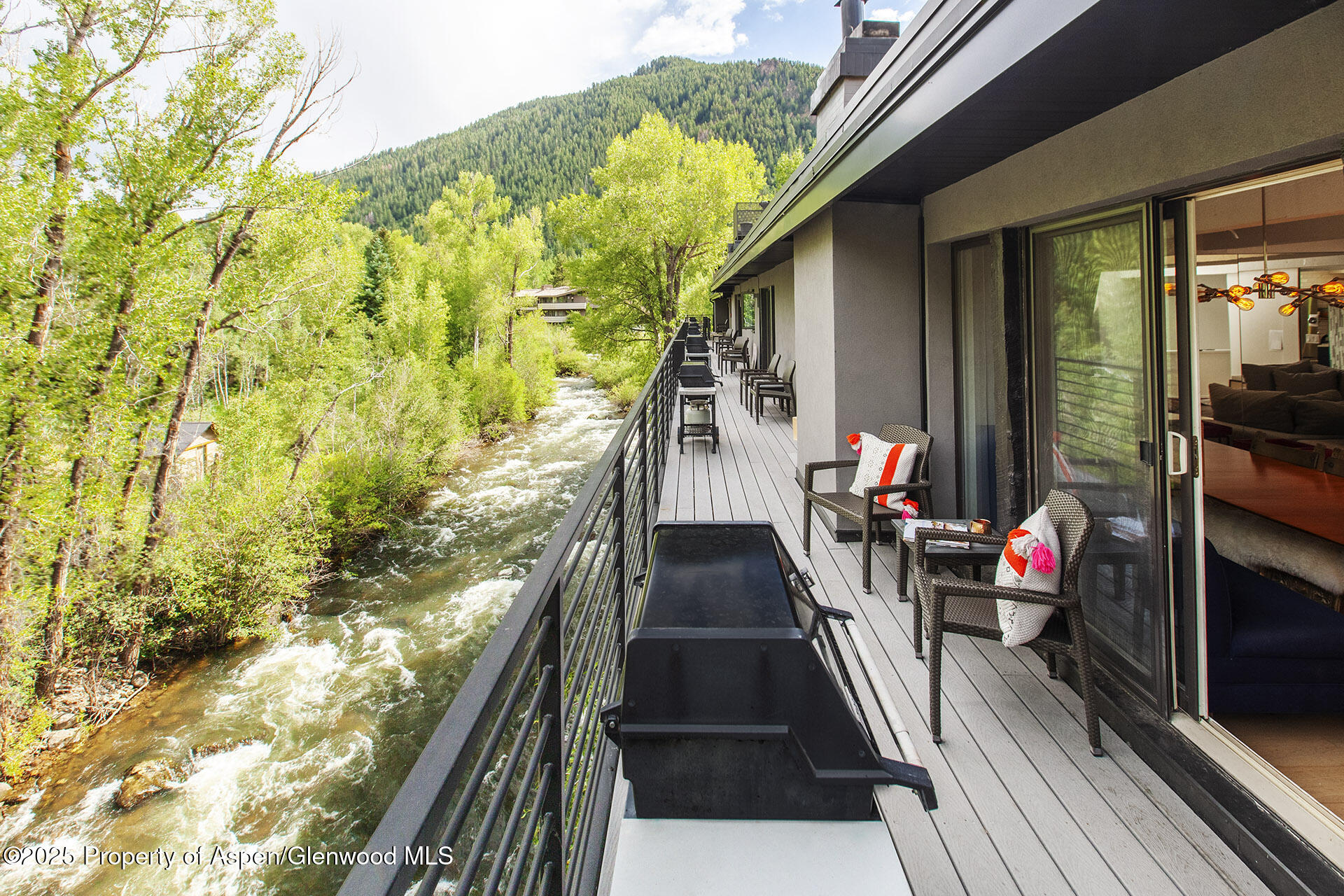 1039 E Cooper Avenue Aspen CO 81611