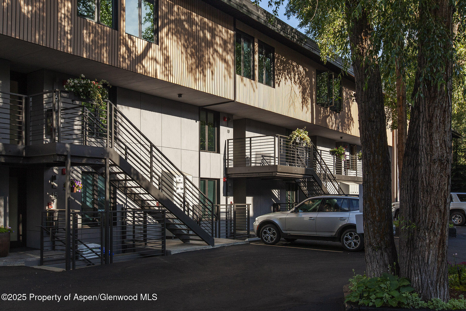 1039 E Cooper Avenue Aspen CO 81611